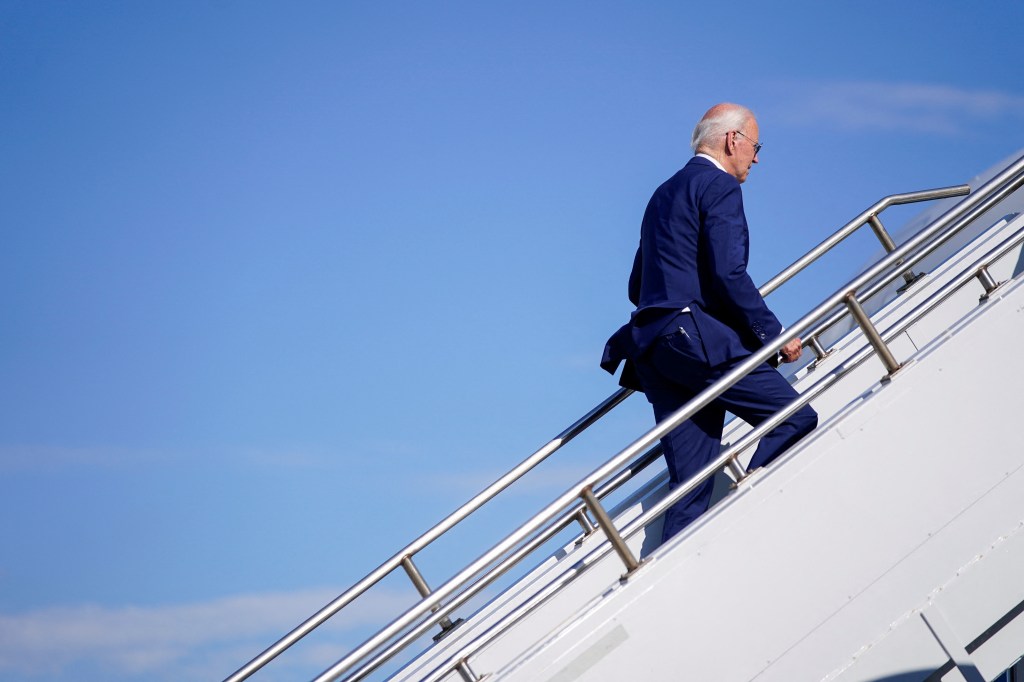 Democratic memo details plan to replace Biden in ‘blitz primary’: report