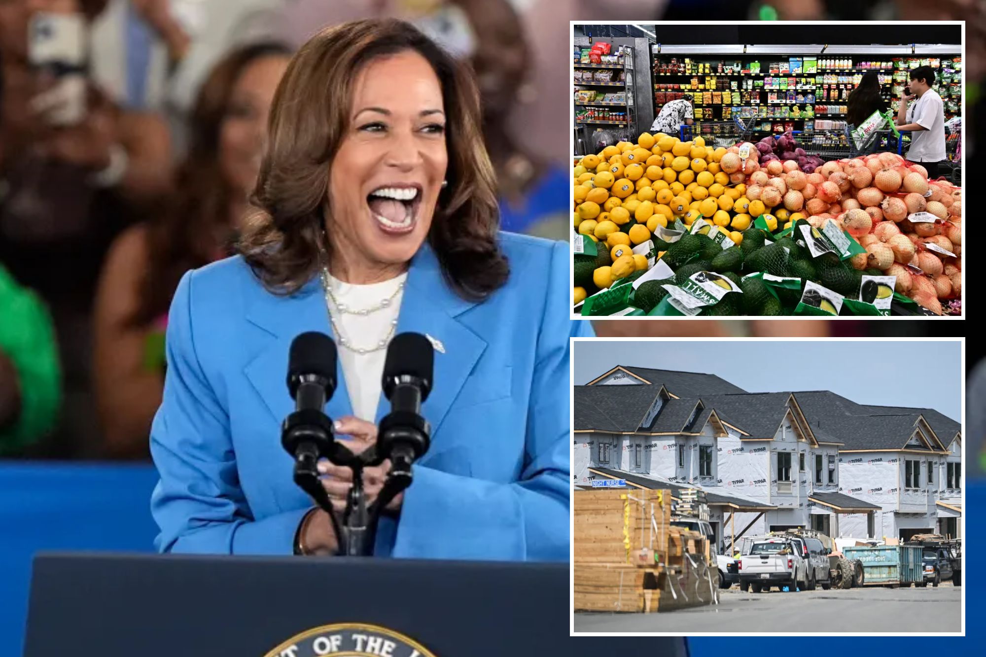 Kamala Harris unveils economic plan — including a whopping $1.7T in handouts, fed ban on grocery store ‘price gouging’