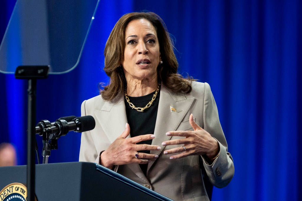 Harris campaign job seekers have 9 different pronoun options: ‘More pronouns than policy’