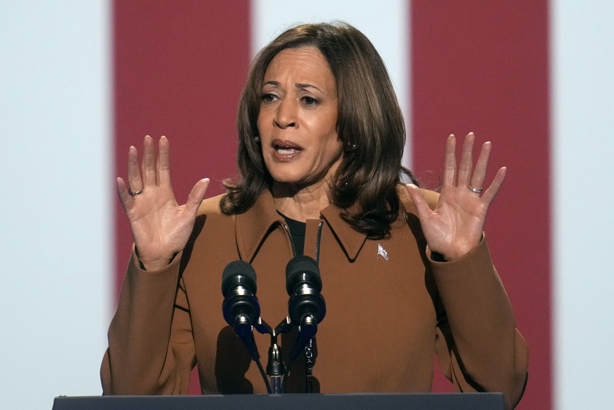 Kamala Harris appears rattled after anti-Israel heckler interrupts her — drawing boos at Kalamazoo rally
