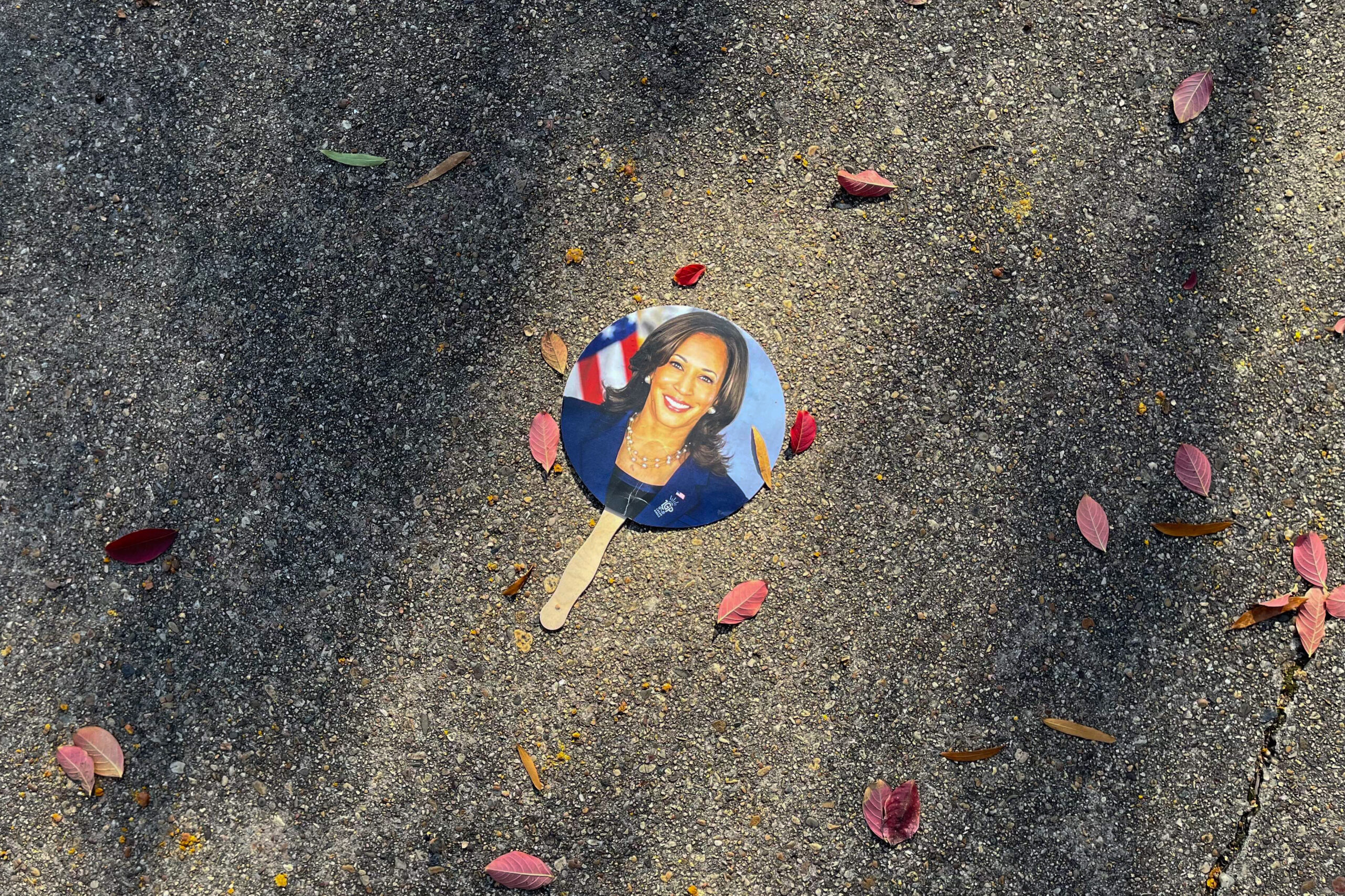 Polls showed Harris had problems — but media and Dems didn’t want to face them