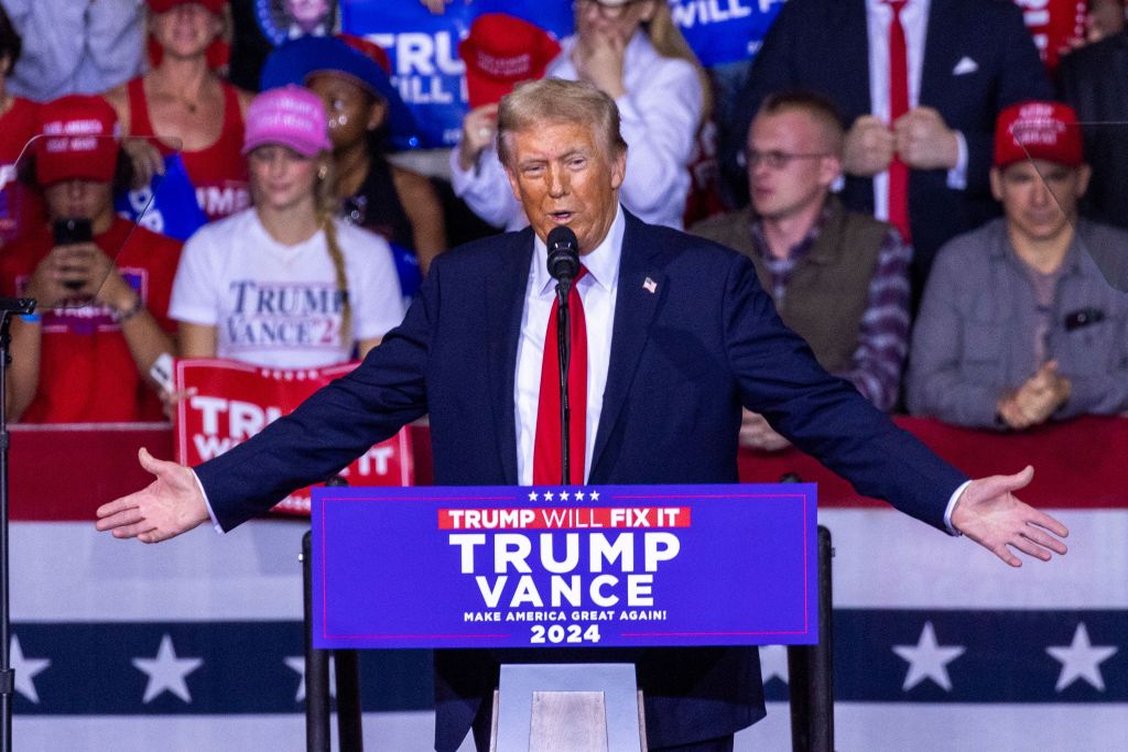 Trump leading Harris in every swing state: new poll