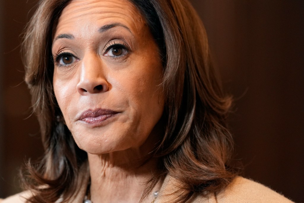Expert issues warning over the ‘elephant in the room’ that Harris has been quiet about