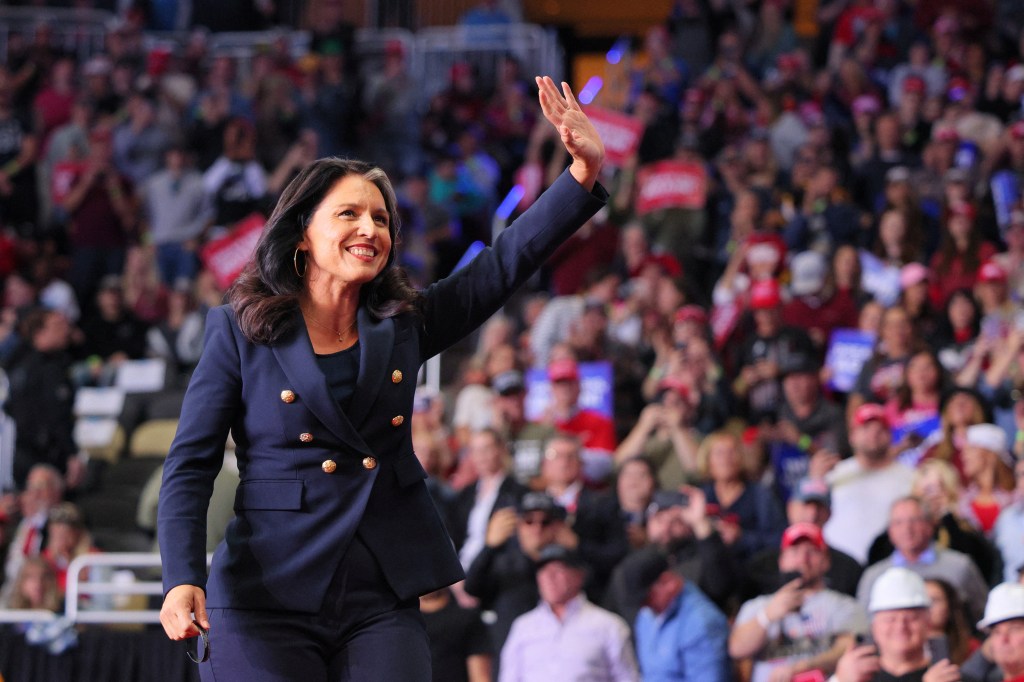 Ex-Dem Rep. Tulsi Gabbard eyes defense secretary job after switching parties to back Trump