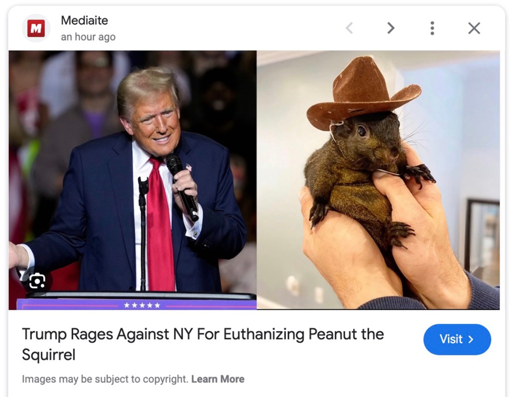 Anti-Trump website falls for fake statement about Peanut the Squirrel’s death