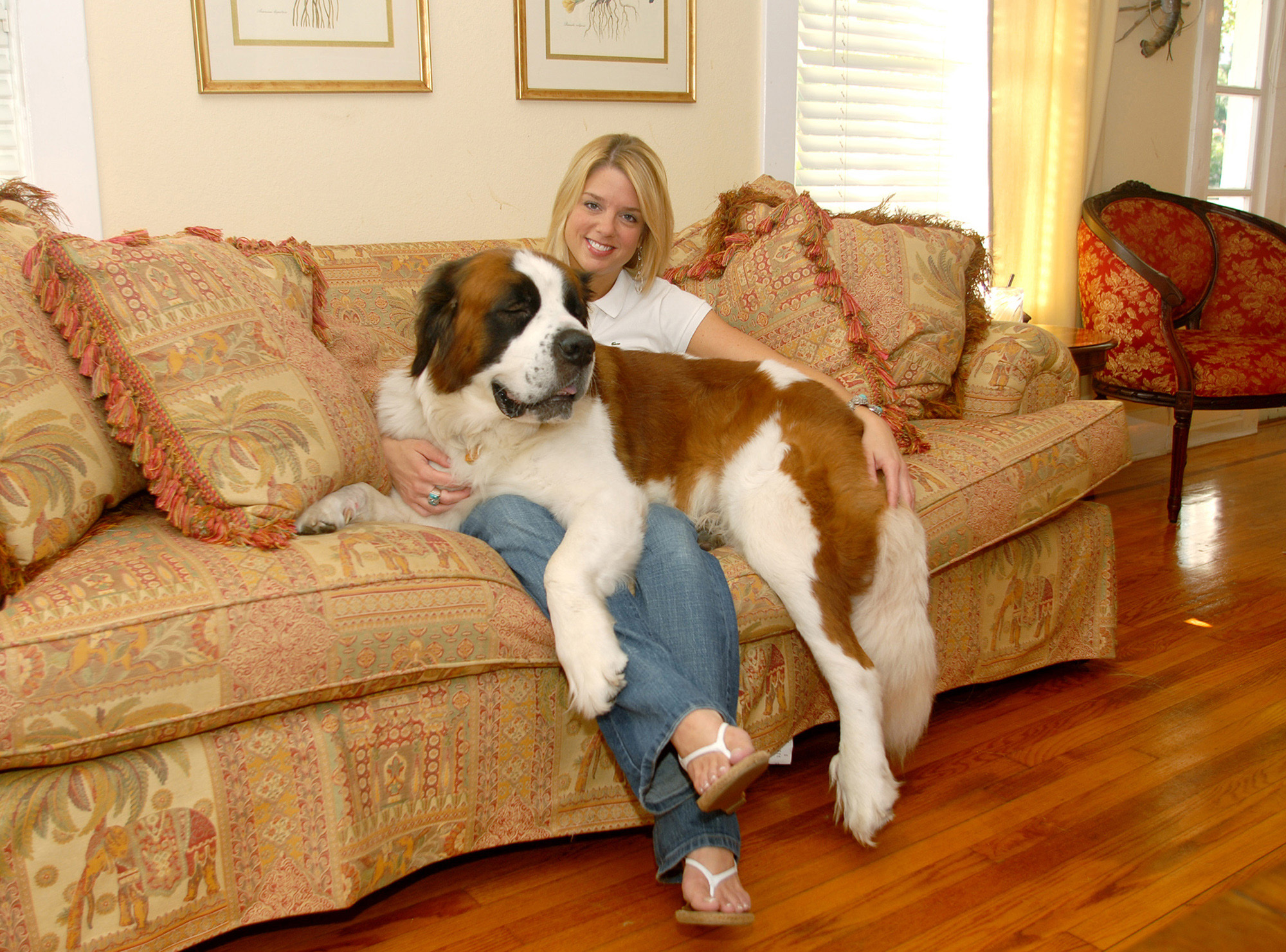 Trump AG nominee Pam Bondi was once accused of stealing a couple’s St. Bernard in long legal battle