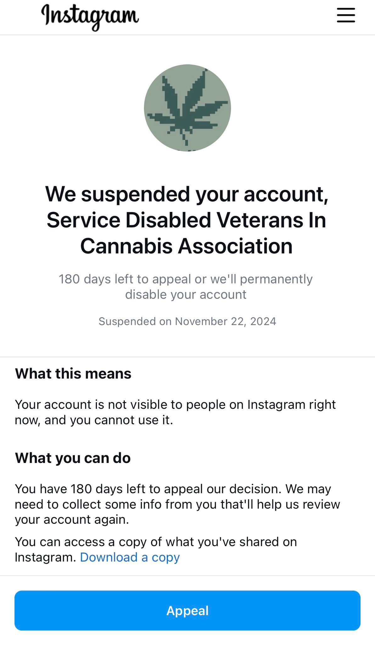 Pro-marijuana veterans group claims it was suddenly suspended from Instagram with ‘no explanation’ in act of censorship