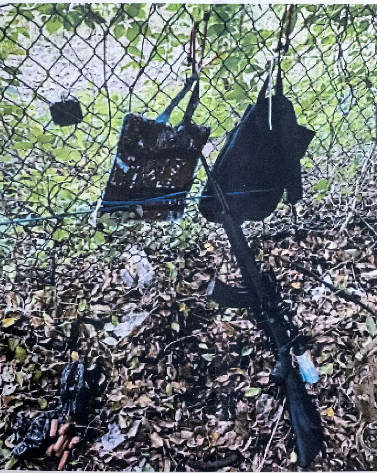 Sniper’s nest at second Trump assassination attempt had ‘critical vulnerabilities,’ damning bipartisan House report reveals