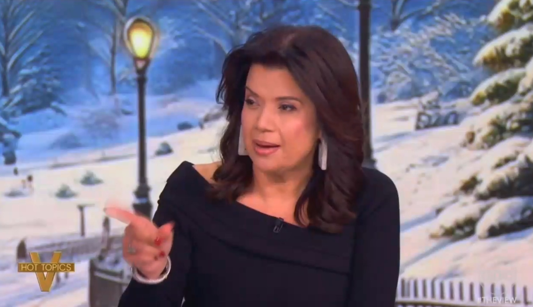 Ana Navarro, Whoopi Goldberg get into heated exchange on ‘The View’ over whether it’s time to ‘panic’ about Trump