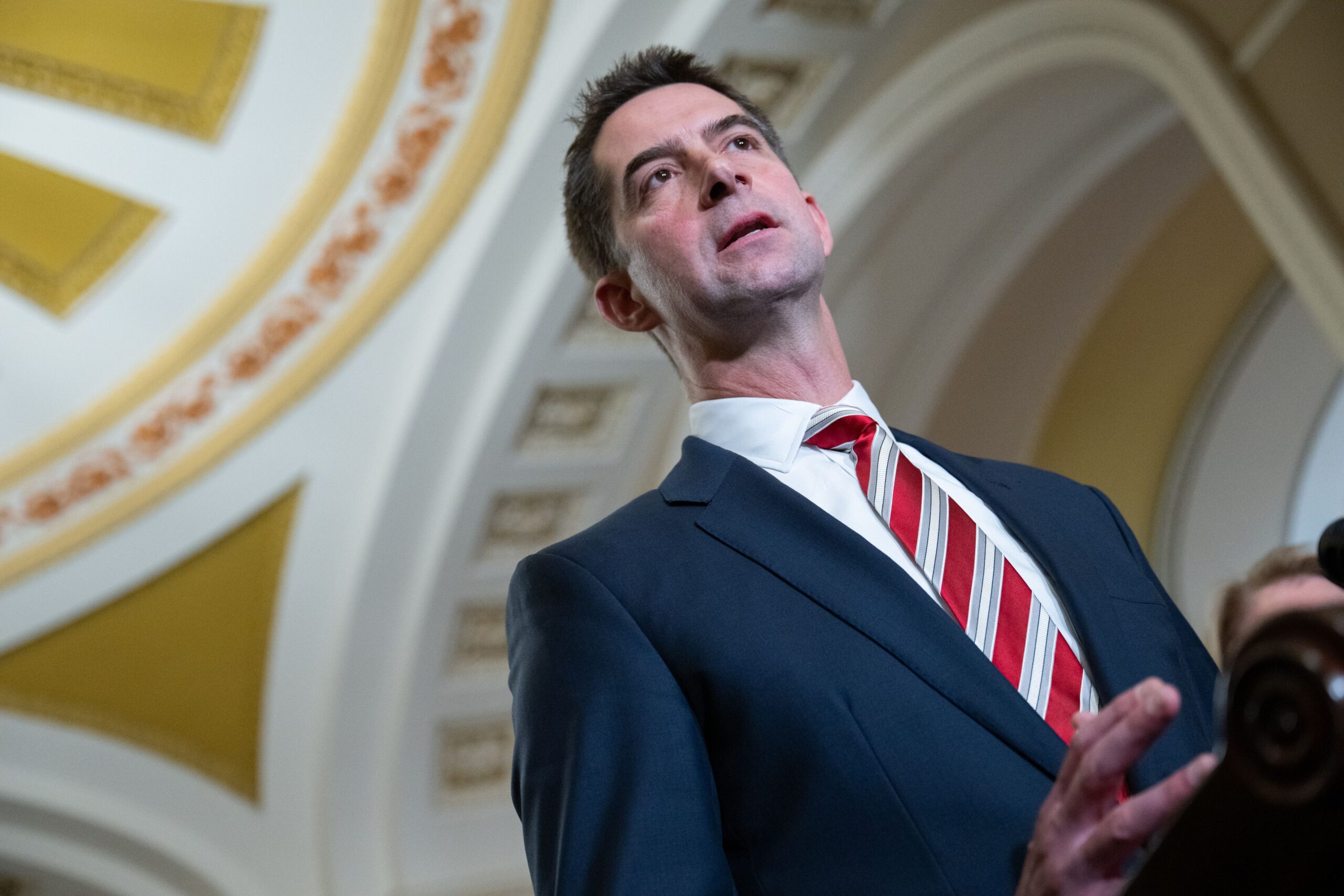 Sen. Tom Cotton thwarts passage of bill protecting press from feds
