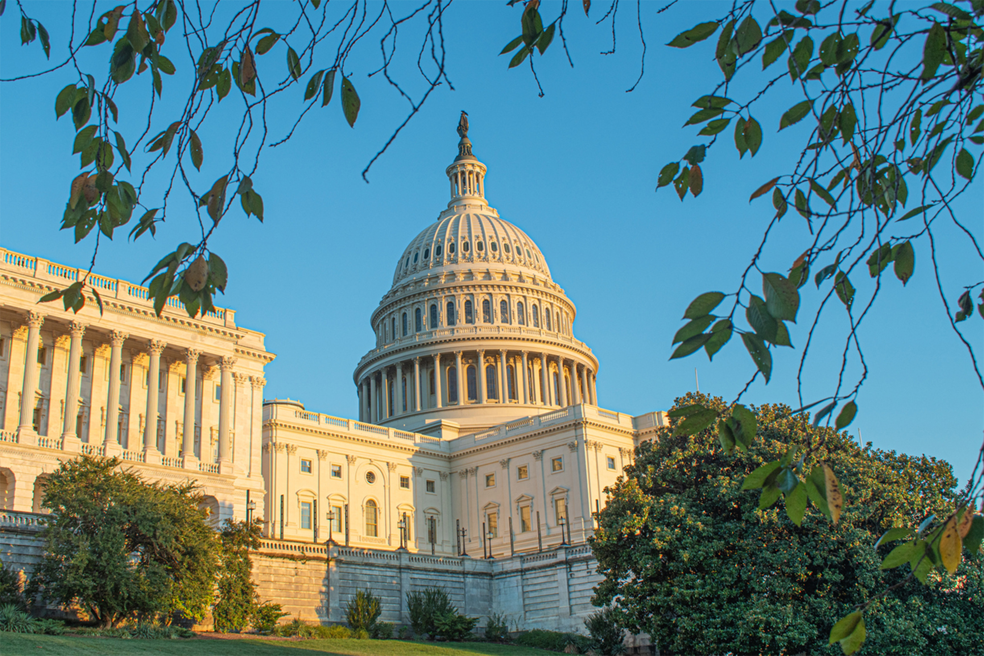 Congressional Dem staffers drop short-lived request for 32-hour work week after bipartisan mockery: ‘Terrible idea’