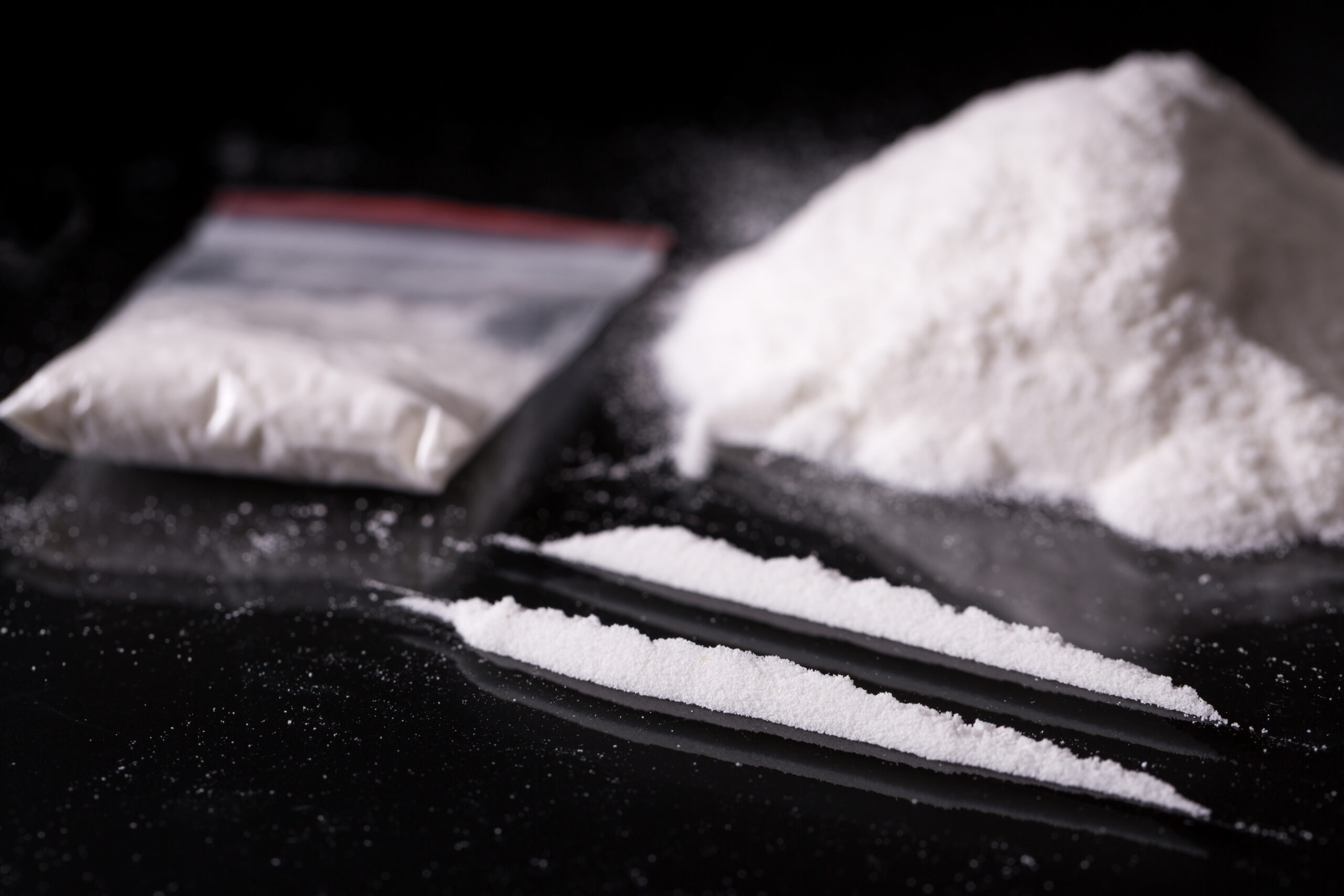 Republican probe into White House cocaine ruined by Secret Service destroying evidence: Comer book
