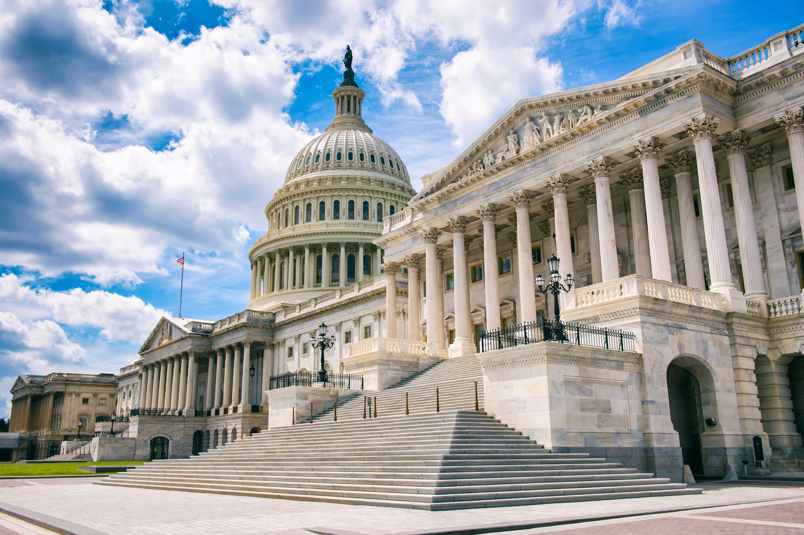 Some House members have mental faculties so diminished they can no longer do their jobs — and others voting drunk, high: lawmakers