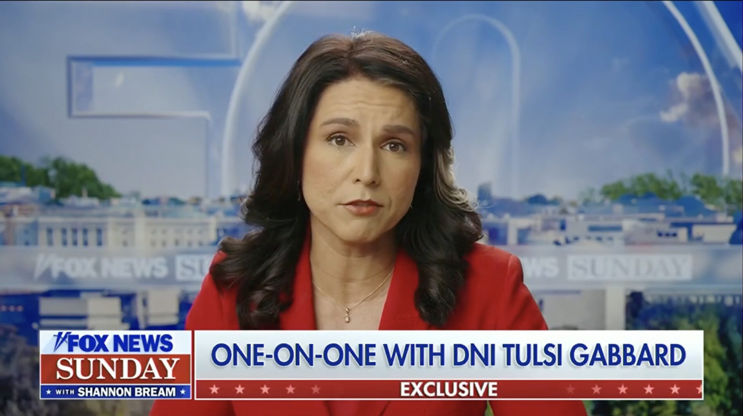 DNI Gabbard sounds off on Europe’s ‘divergence’ from US values after tense Trump-Zelensky meeting