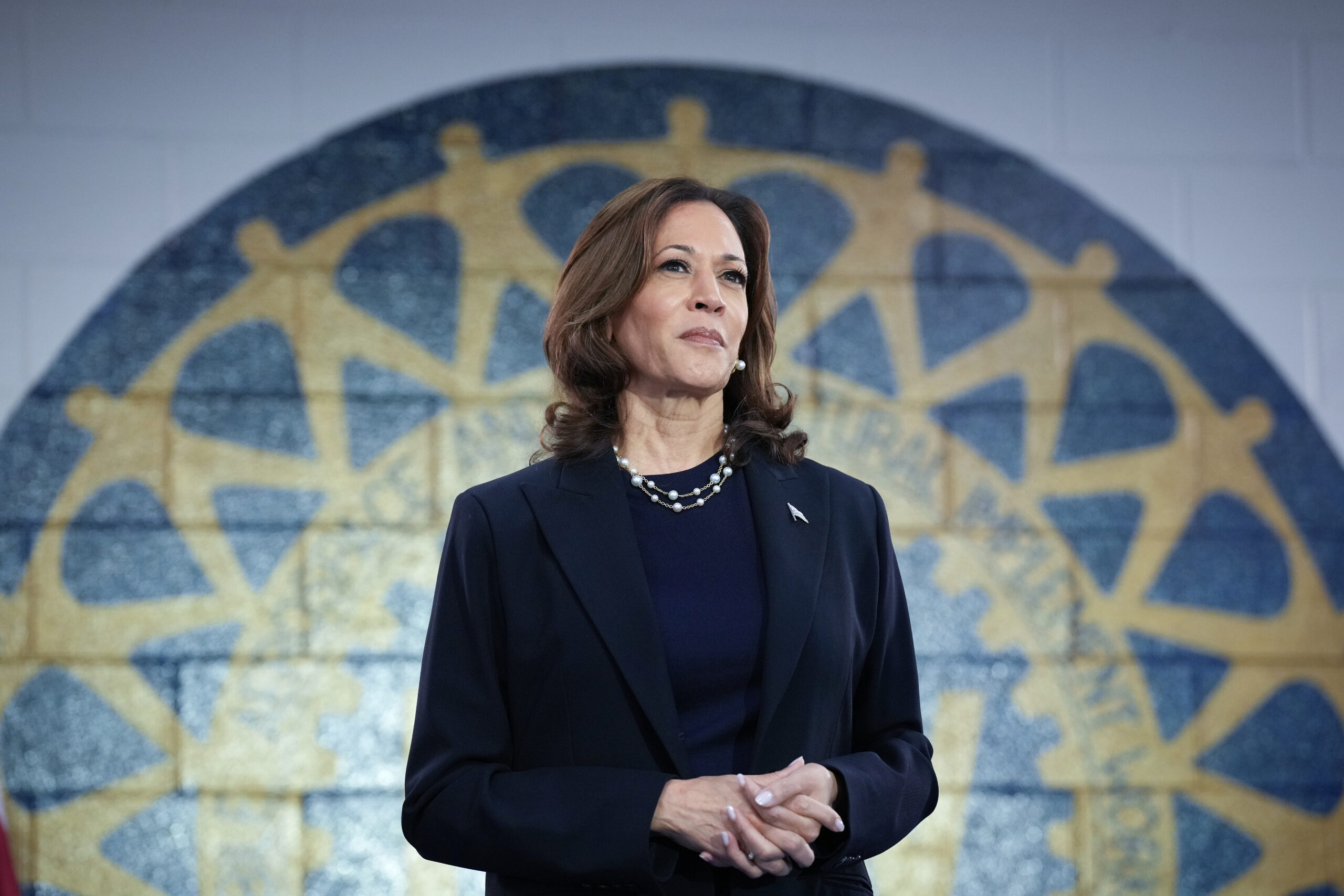 Kamala Harris mulls next move after failed presidential campaign — and it may start with think tank: reports