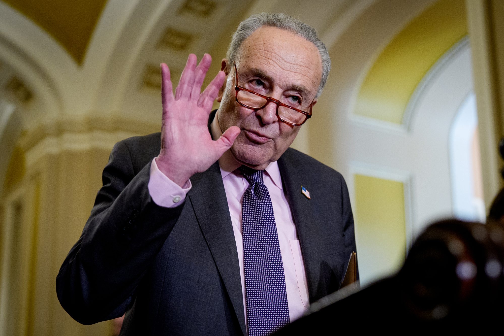 Elon Musk, Chuck Schumer trade verbal blows as DOGE boss suggests senator profits from government fraud