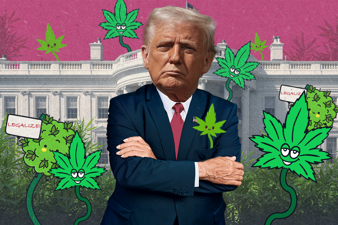 Pot Inc. tells Trump it’s high time to loosen federal laws  