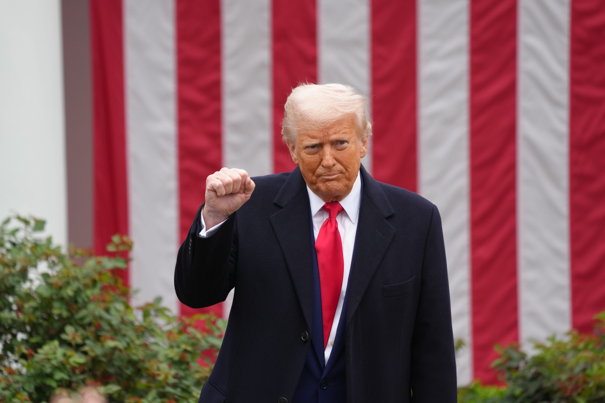 Trump tells Americans ‘Don’t be a PANICAN’ post-tariffs as markets plunge for third straight day