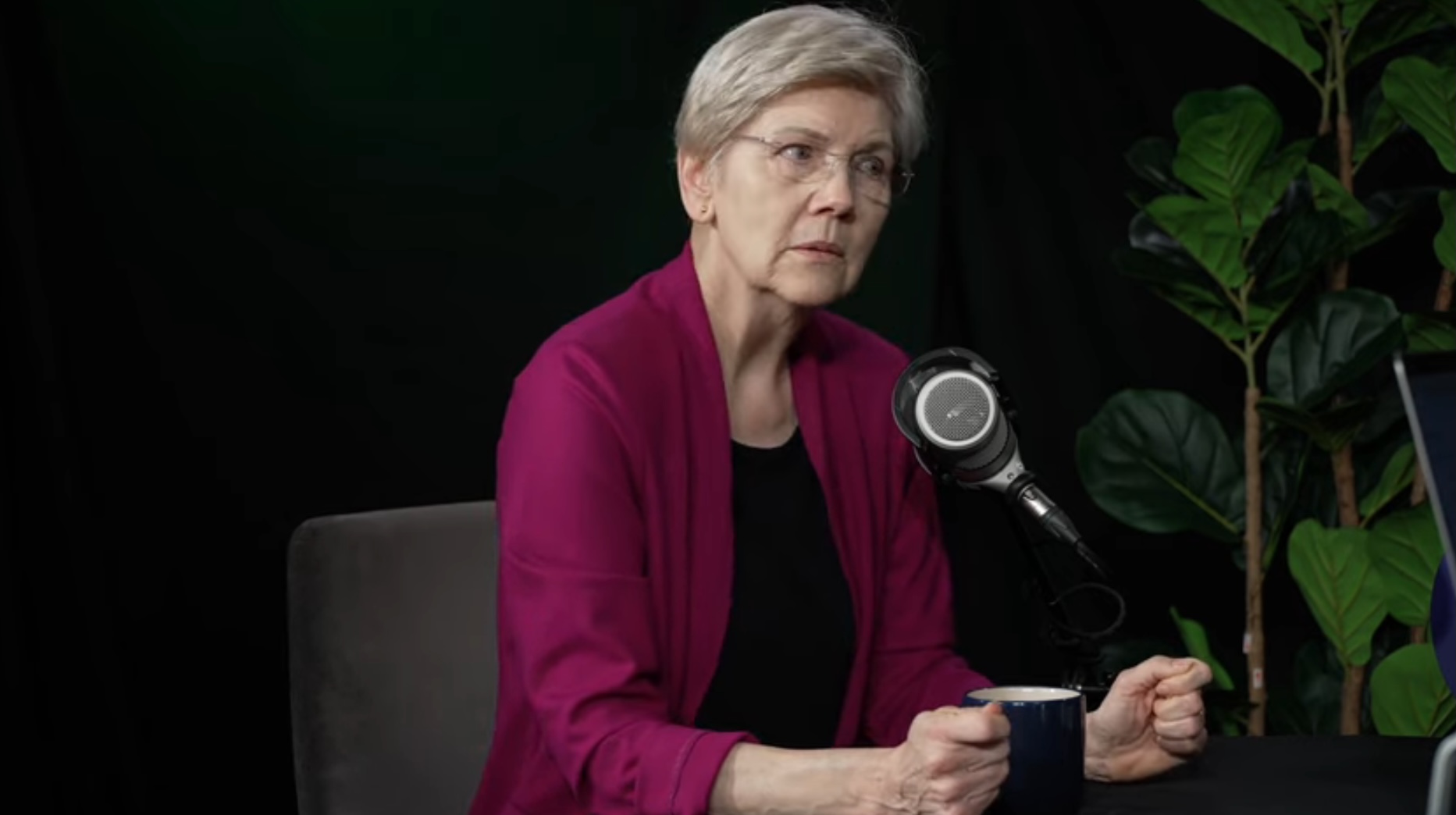 Sen. Elizabeth Warren’s defense of Biden’s mental acuity ridiculed during podcast interview
