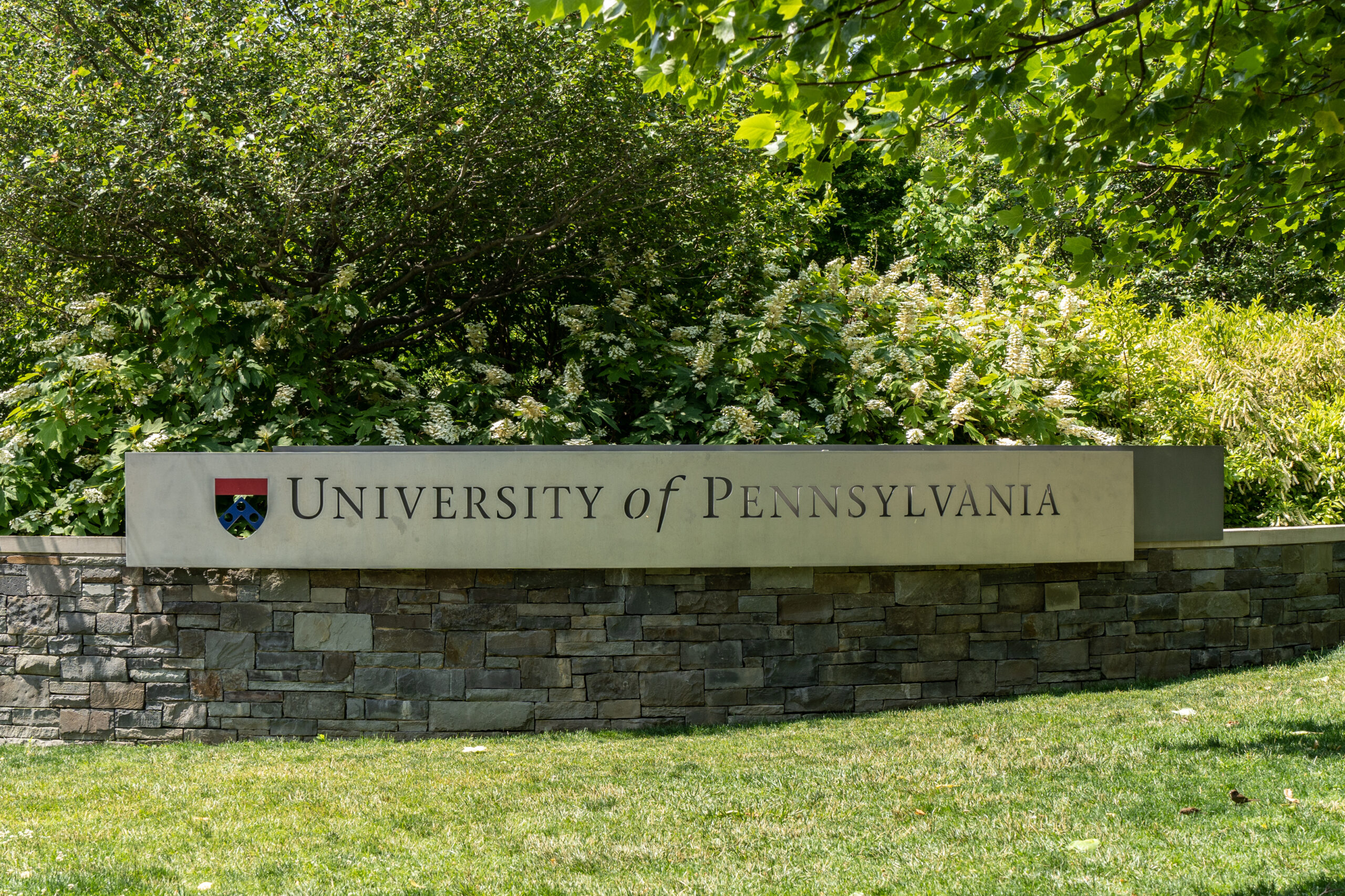 Trump admin finds UPenn violated Title IX by letting transgender athletes compete in women’s sports
