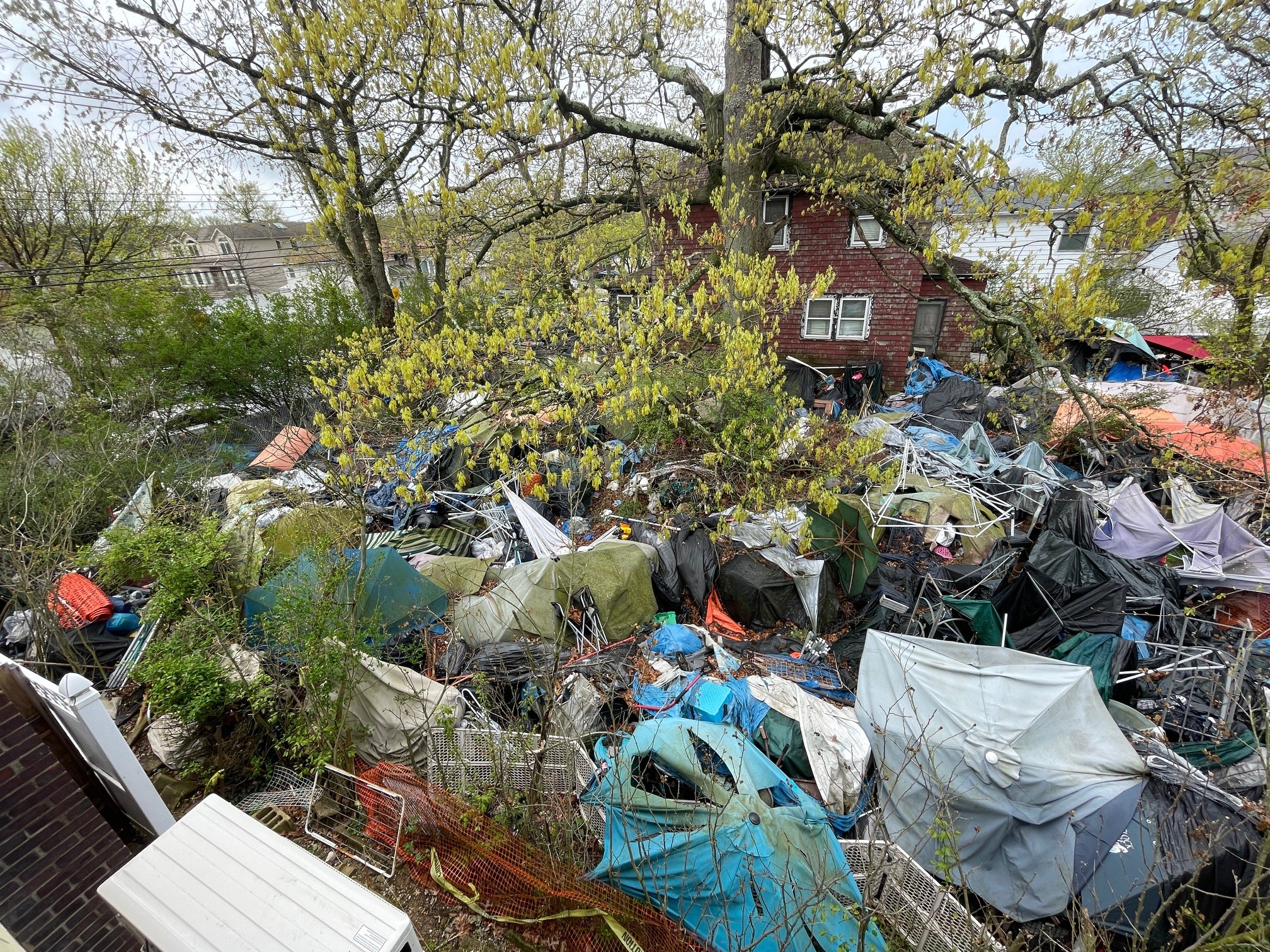 NYC Council trashes Mayor Adams over budget cuts delaying cleaning of 1,700 garbage-strewn lots: Losing ‘War on rats’