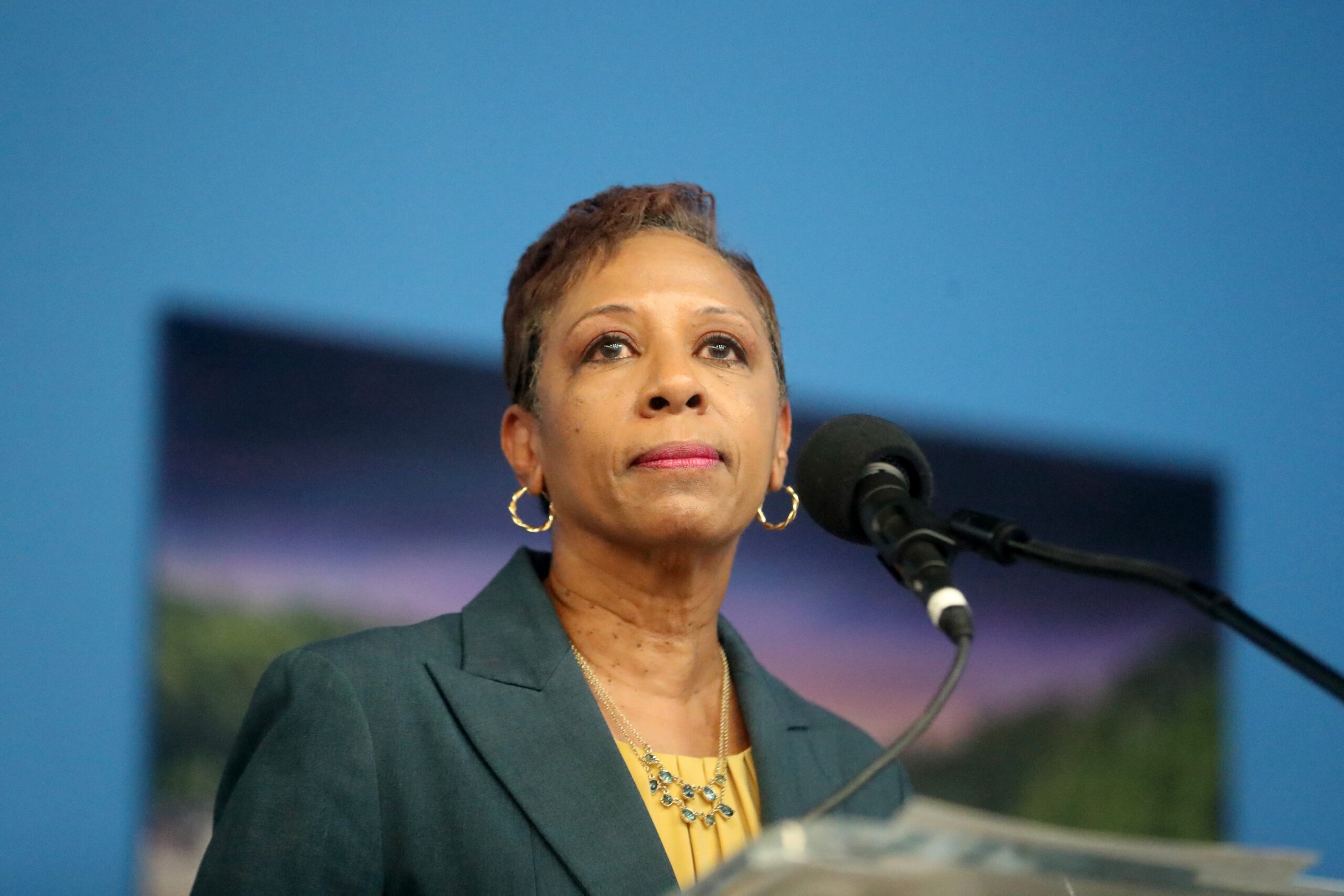 NYC Council Speaker Adrienne Adams’ ‘powerless’ charter panel stacked with Dem cronies making six-figure salaries: ‘big waste of money’