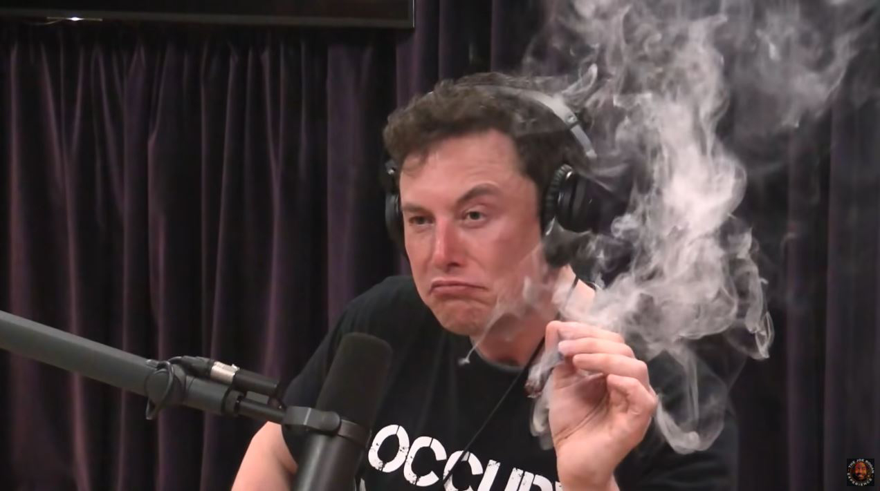 Elon Musk posts purported drug test results to prove he’s not high out of his mind: ‘lol’
