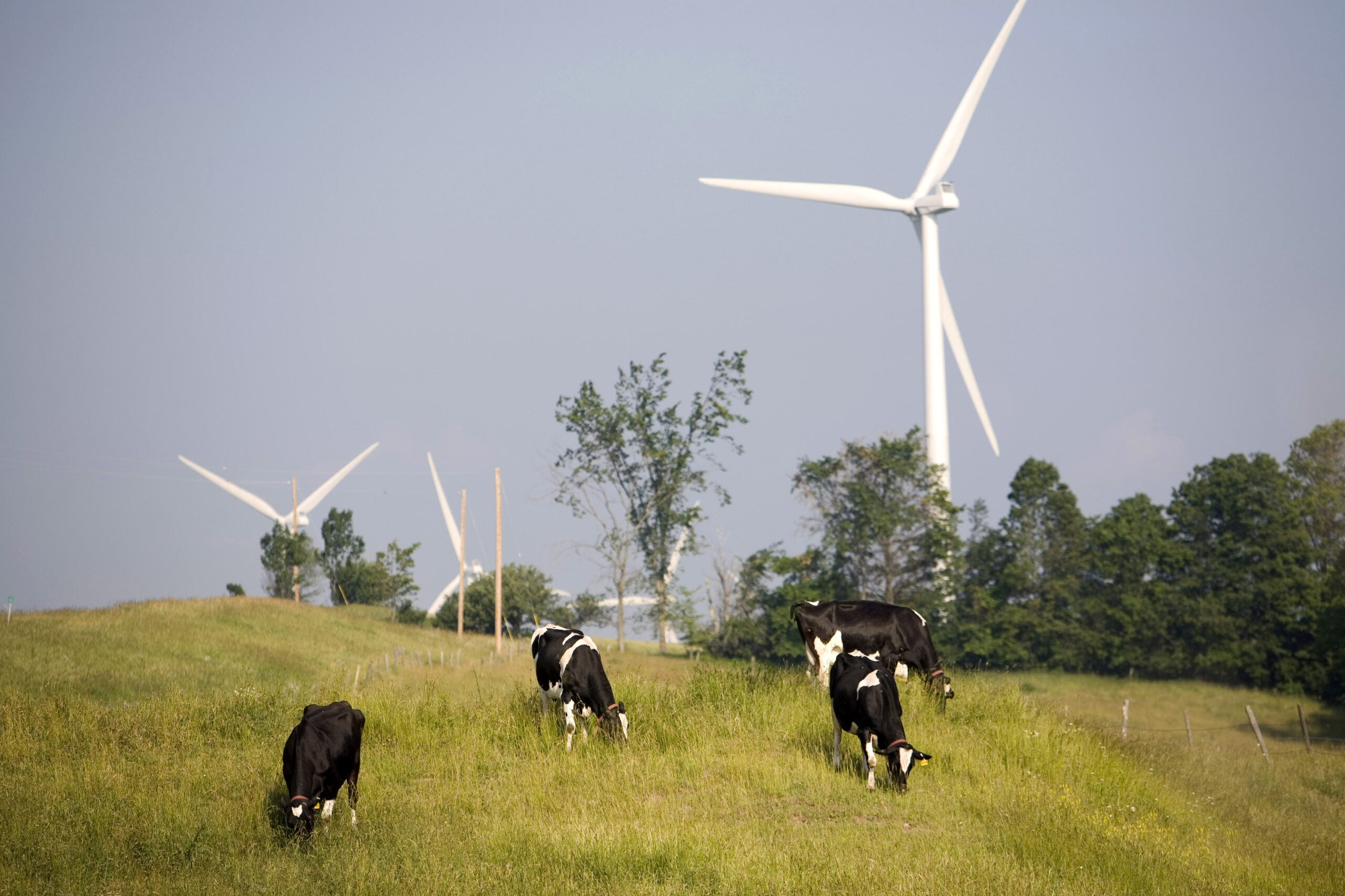 New York halts offshore wind power lines, citing Trump opposition