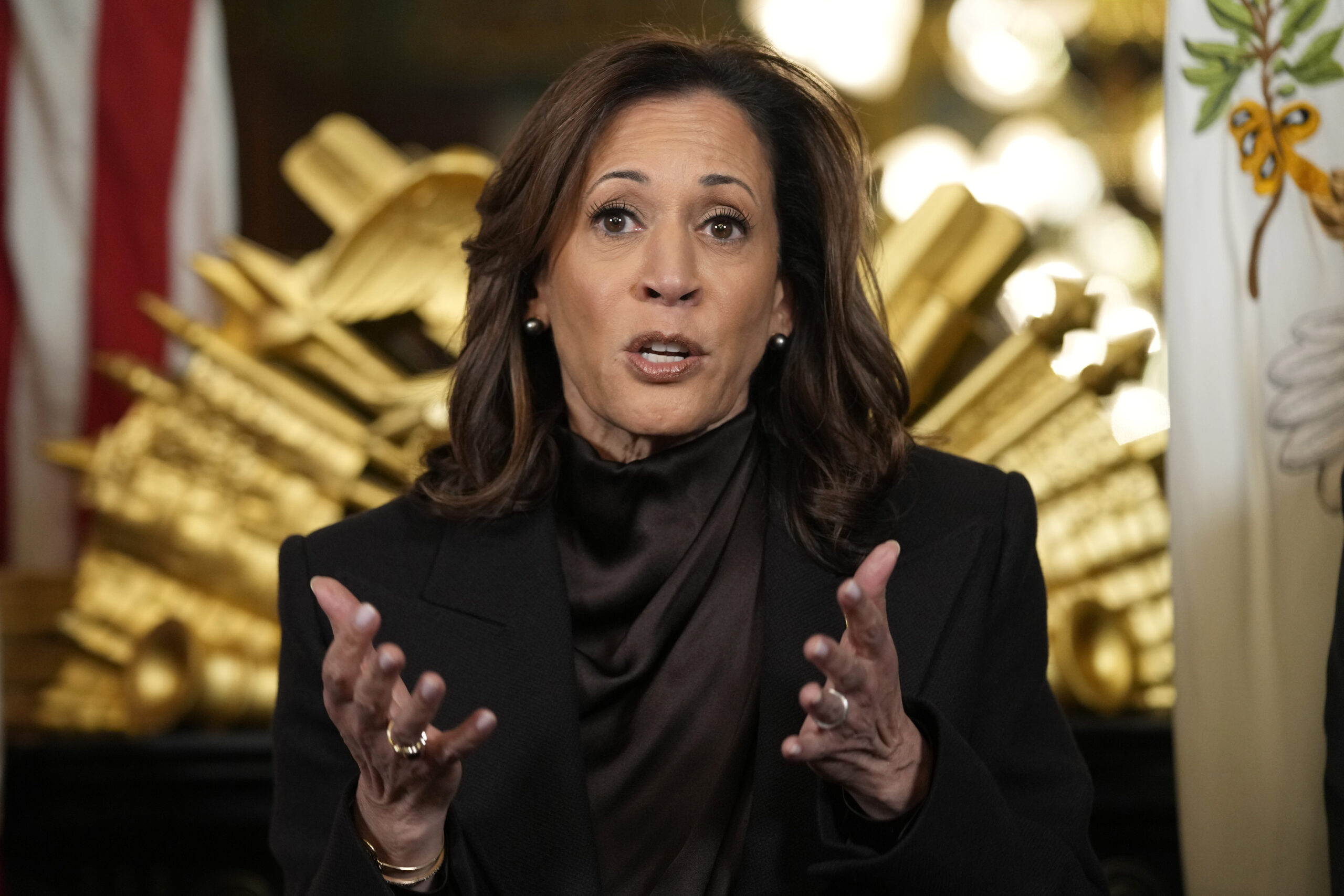 Kamala Harris ripped Dem governors who expressed concern about Biden: ‘This is about saving our f–king democracy’