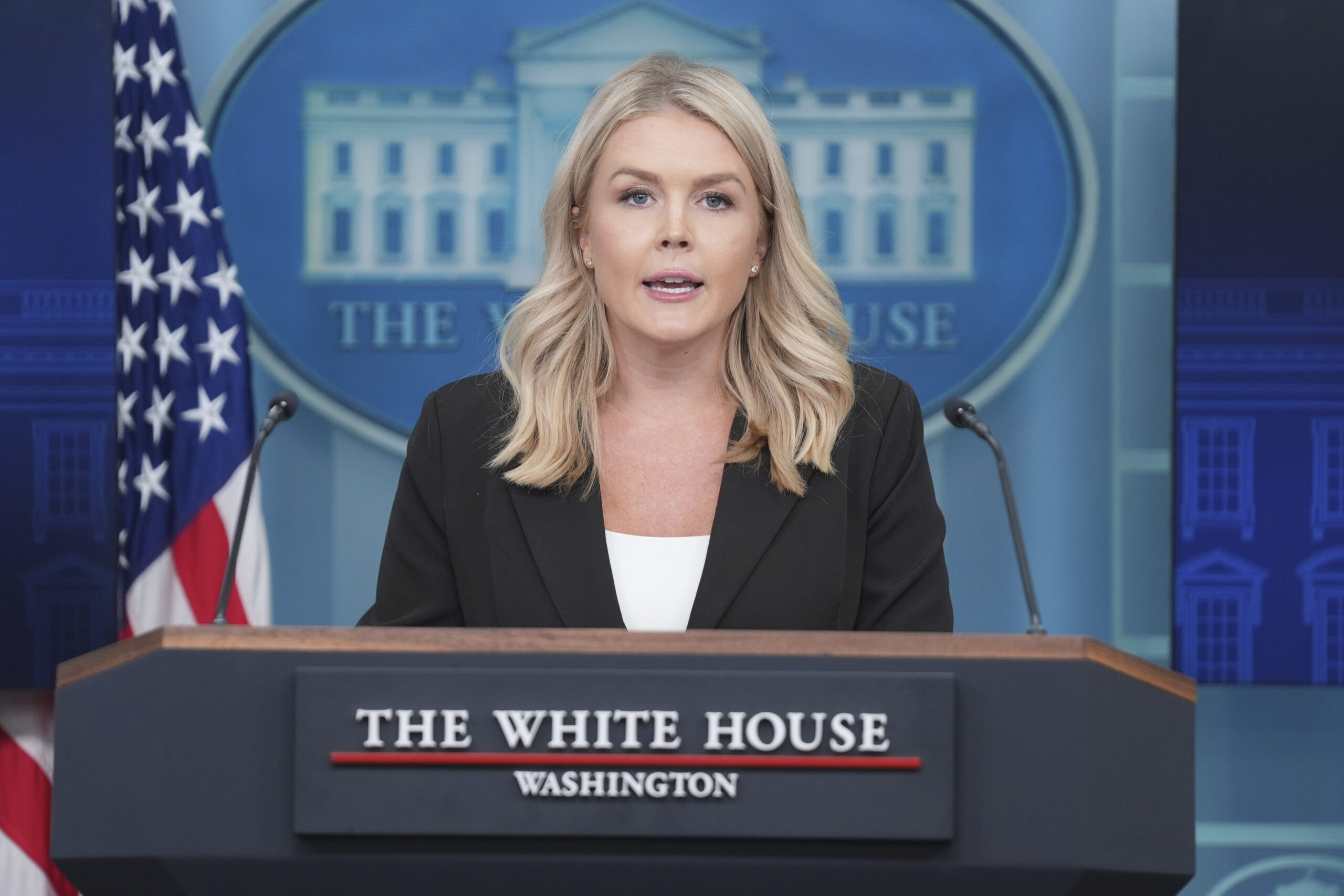 White House urges Dems to ‘tone down’ anti-ICE rhetoric — as activists say lawmakers should be willing to ‘get shot’ to obstruct enforcement