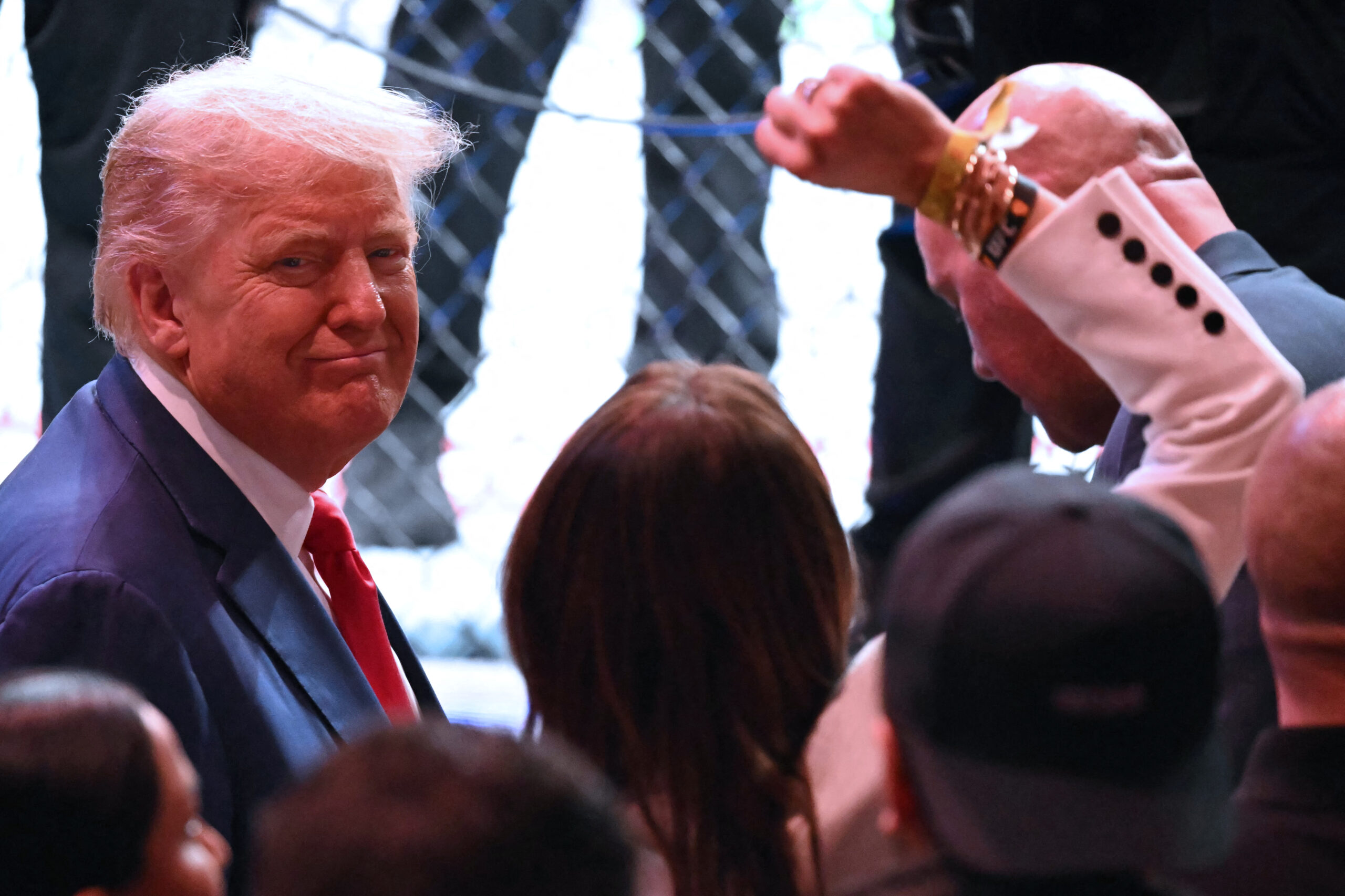 UFC match on White House lawn penciled in for June with weigh-ins on Lincoln Memorial steps: report