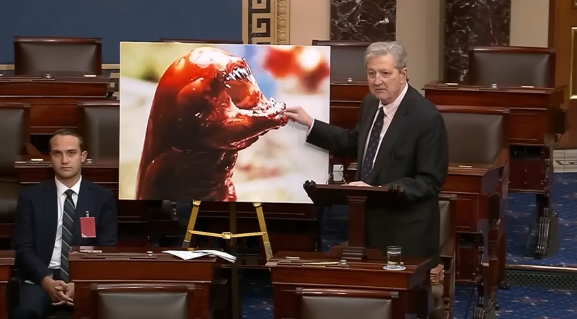 GOP Sen. John Kennedy warns that eating radioactive shrimp could make you ‘grow an extra ear’ or turn into an ‘alien’