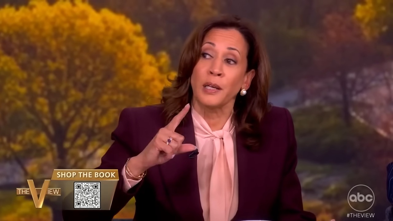 Kamala Harris denies claims that her ‘View’ appearance was tipping point in campaign