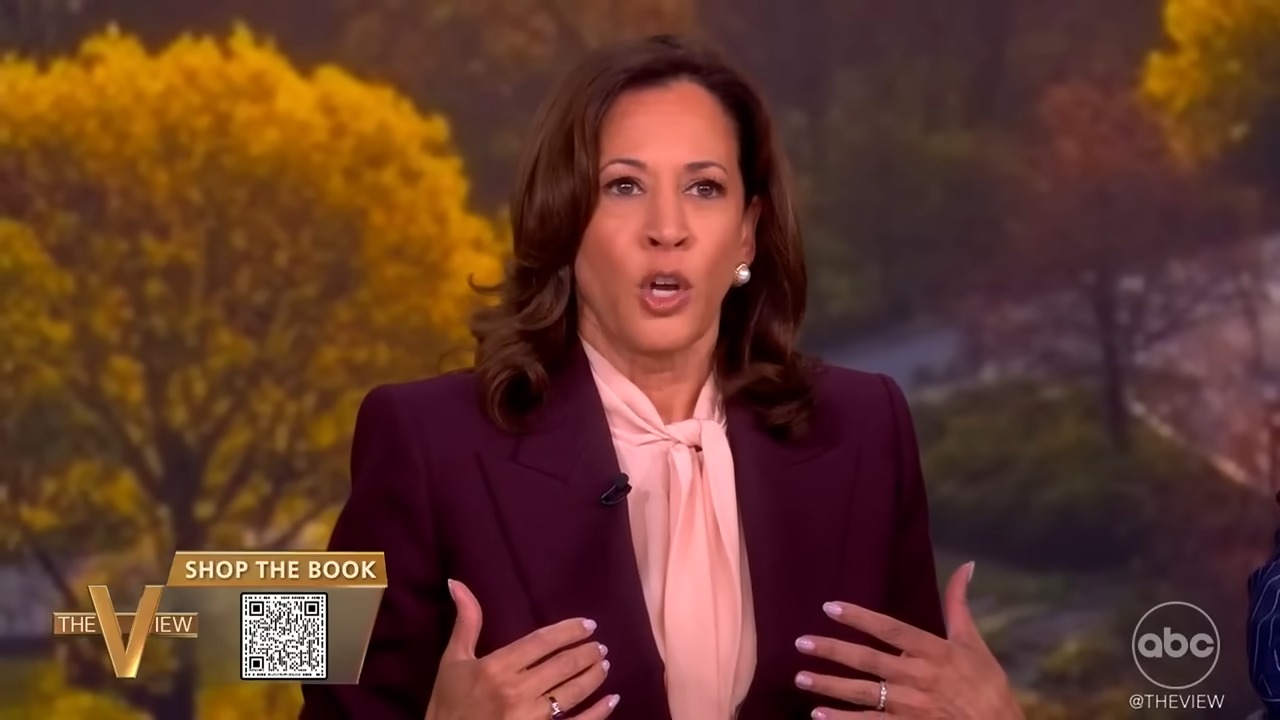 Kamala Harris claims she ‘didn’t have enough time’ to beat Trump in 2024 election