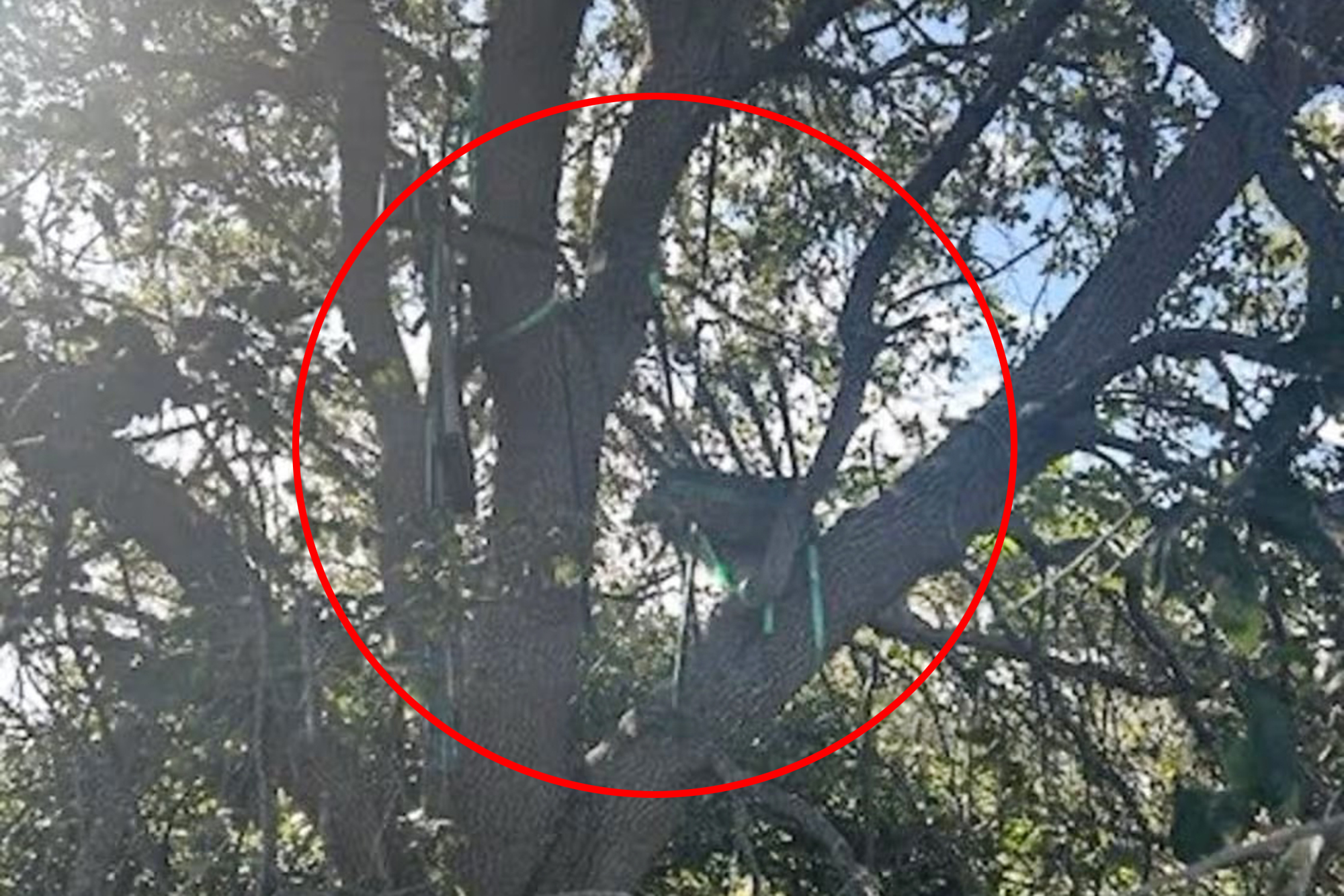 Secret Service investigating possible sniper’s nest with sight line to Trump Air Force One arrival near Palm Beach airport