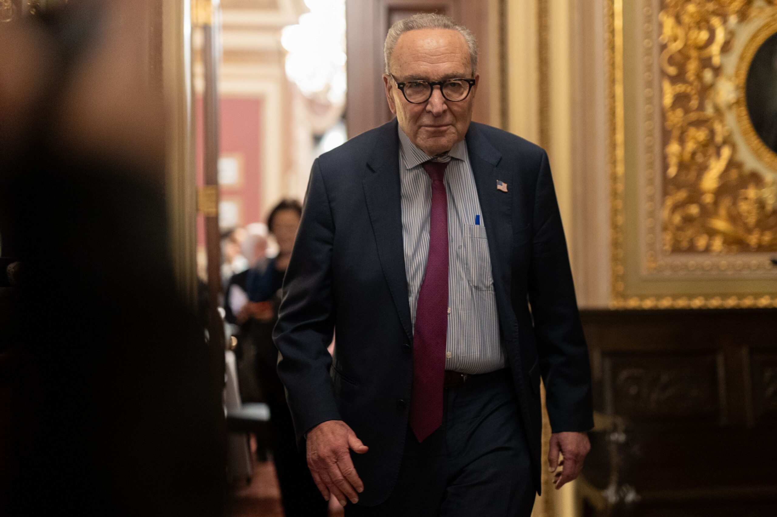 Soros-backed group launches primary push to take down Chuck Schumer: ‘Need leaders with backbone’