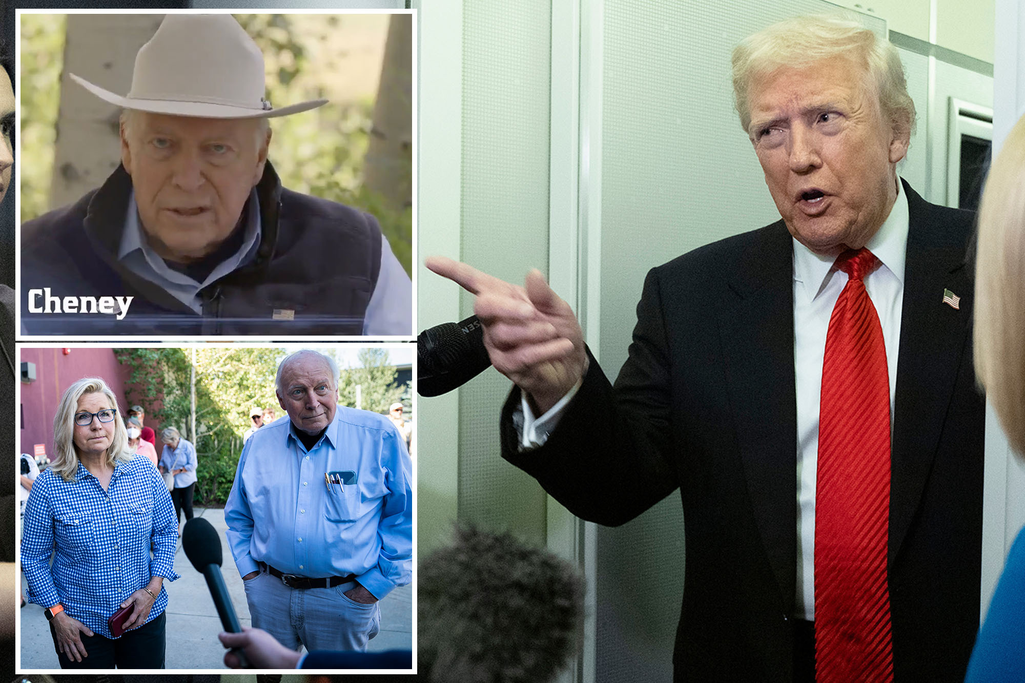 Trump White House snubs ex-VP Dick Cheney, offers no condolences on his death