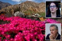 California law could force 2M homeowners to rip out gardens due to fire risk