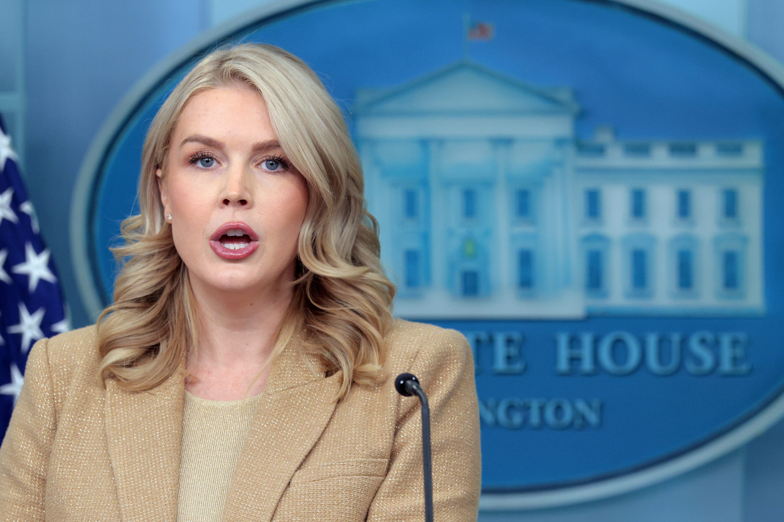 ‘Criminal illegal alien’ mom of Karoline Leavitt’s nephew set to be released from ICE detention