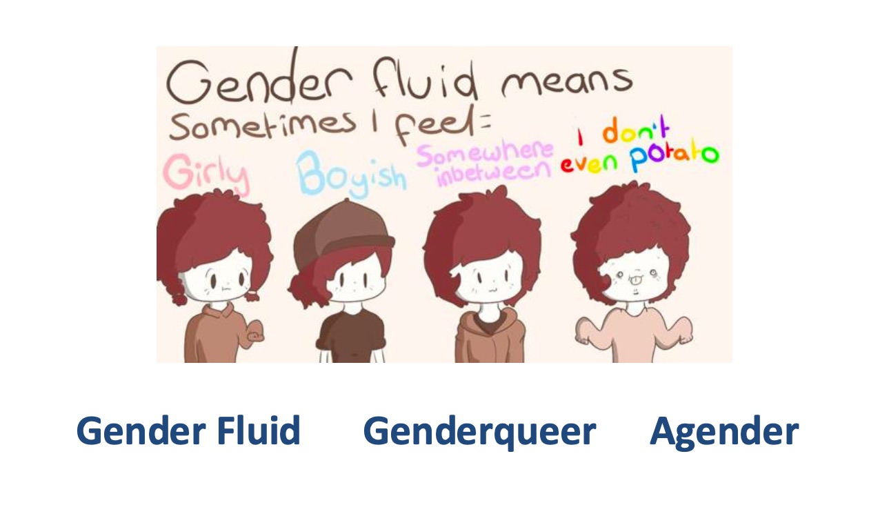 National Education Association instructs staff on ‘neopronouns,’ ‘xeopronouns’ and battling conservative ‘villains’