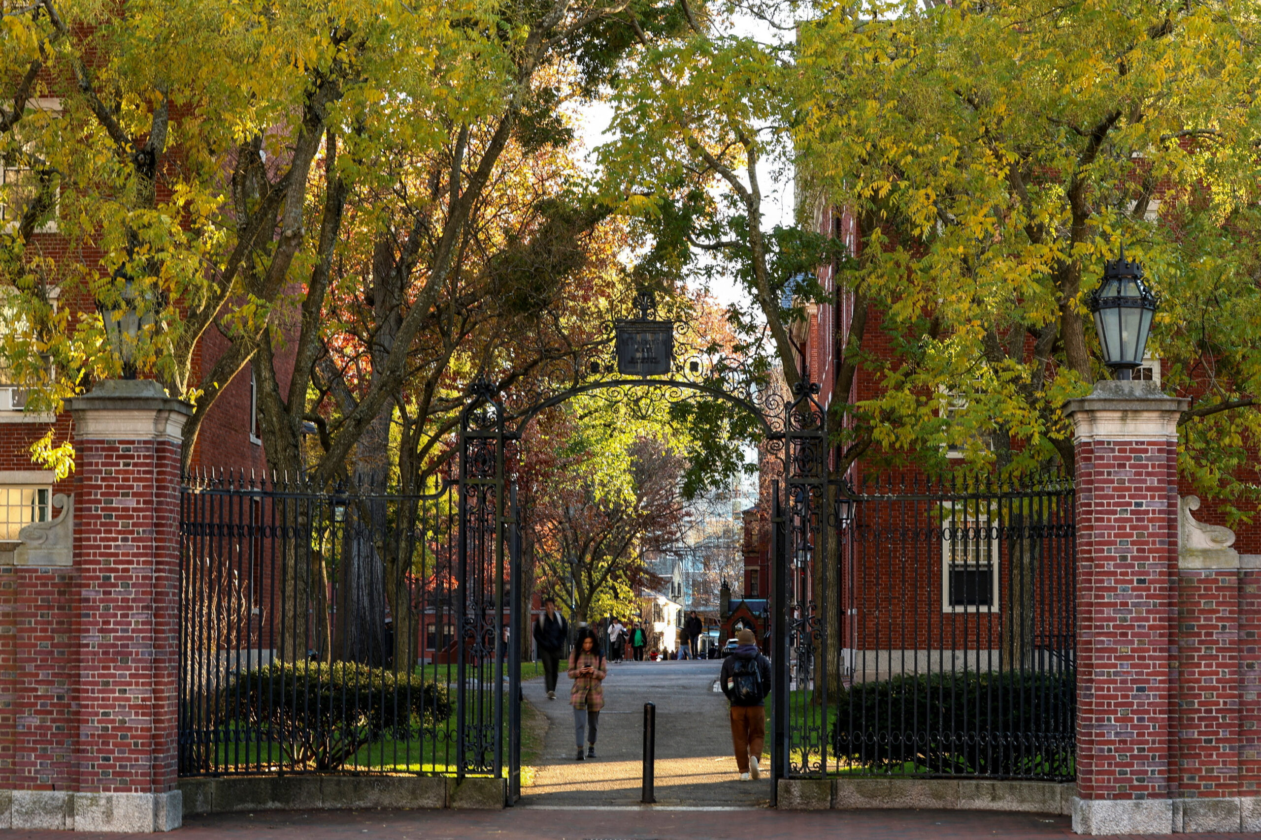 Harvard hit with federal complaint over ‘race-restricted’ scholarship program: ‘Enough is enough’
