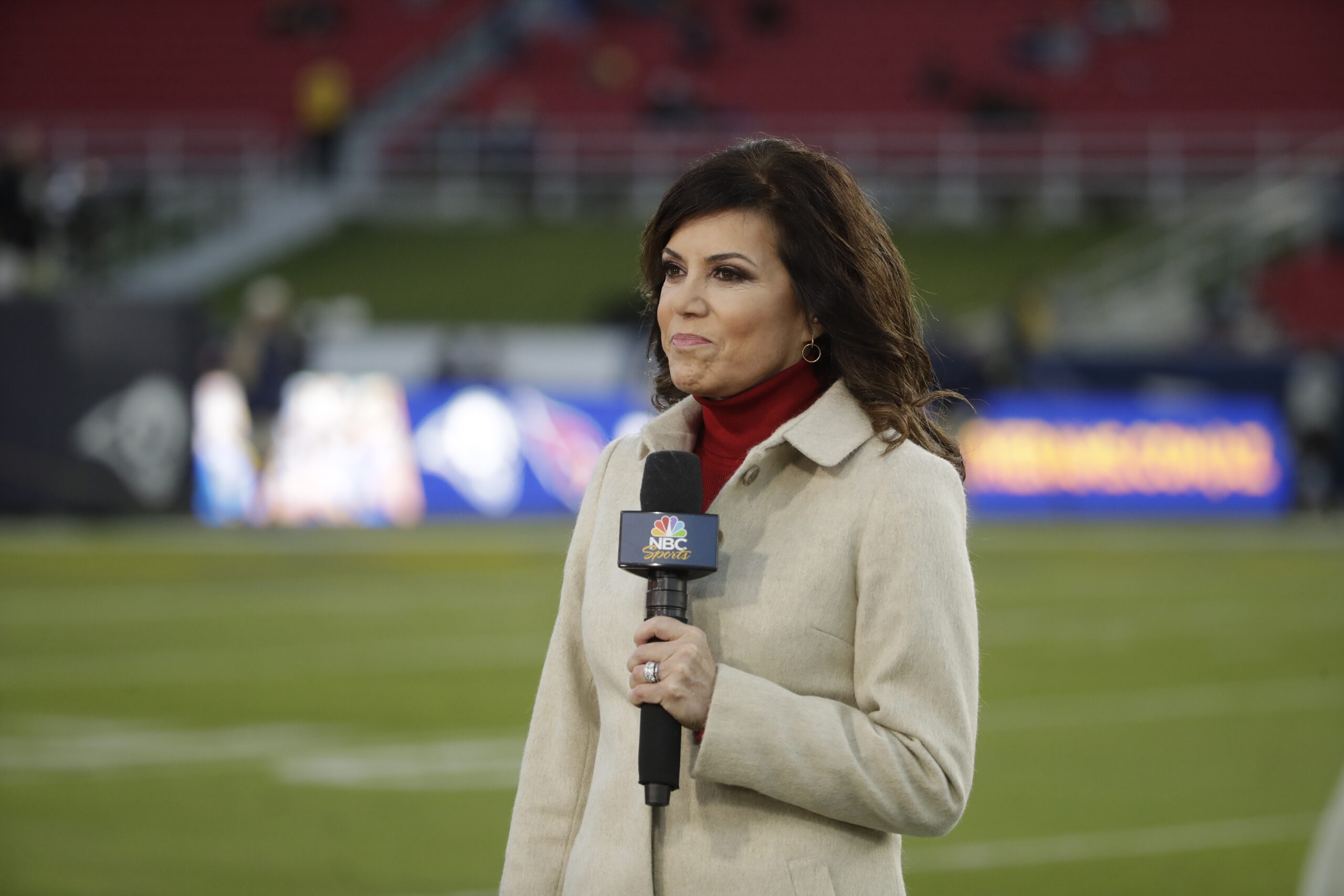 Ex-NFL sideline reporter Michele Tafoya files paperwork to run for Minnesota Senate seat