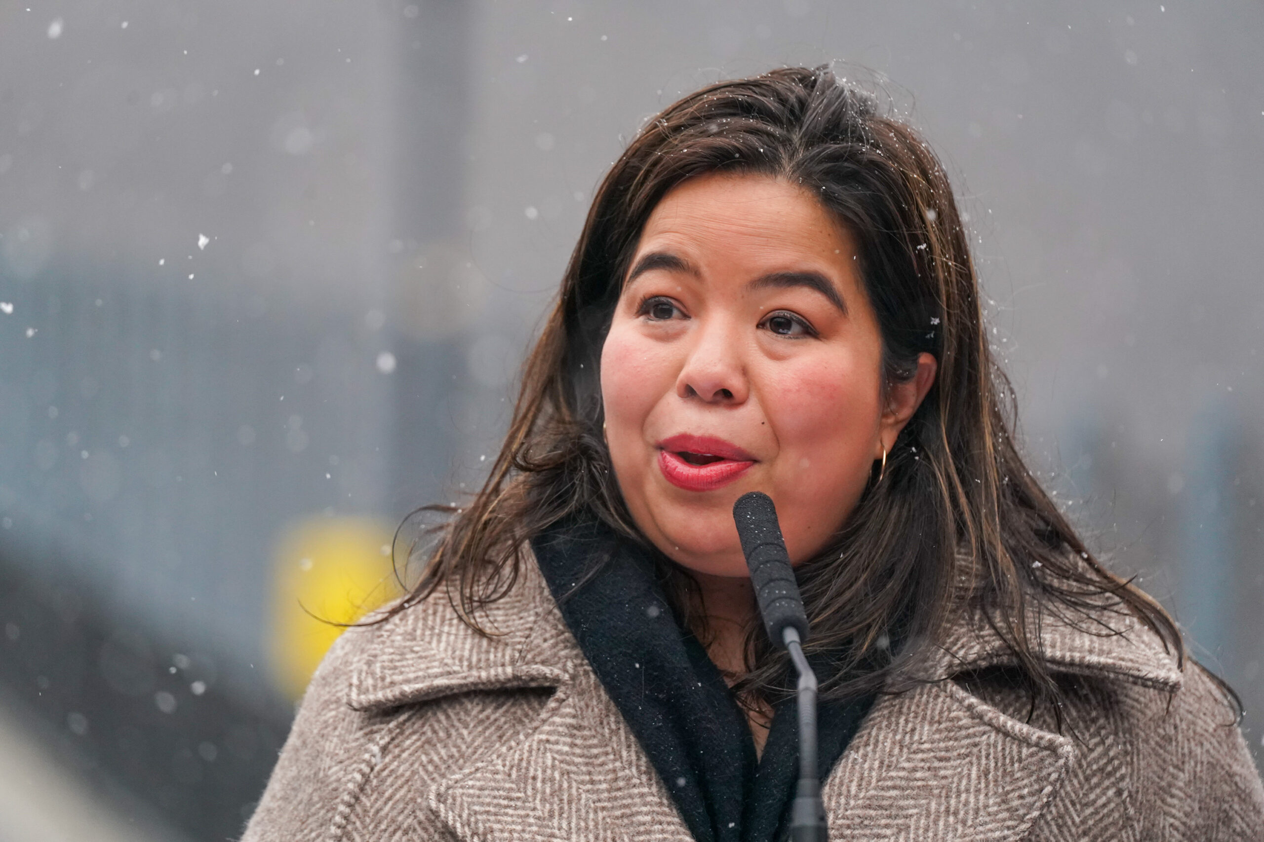 Mamdani names longtime Dem operative as NYC parks commissioner