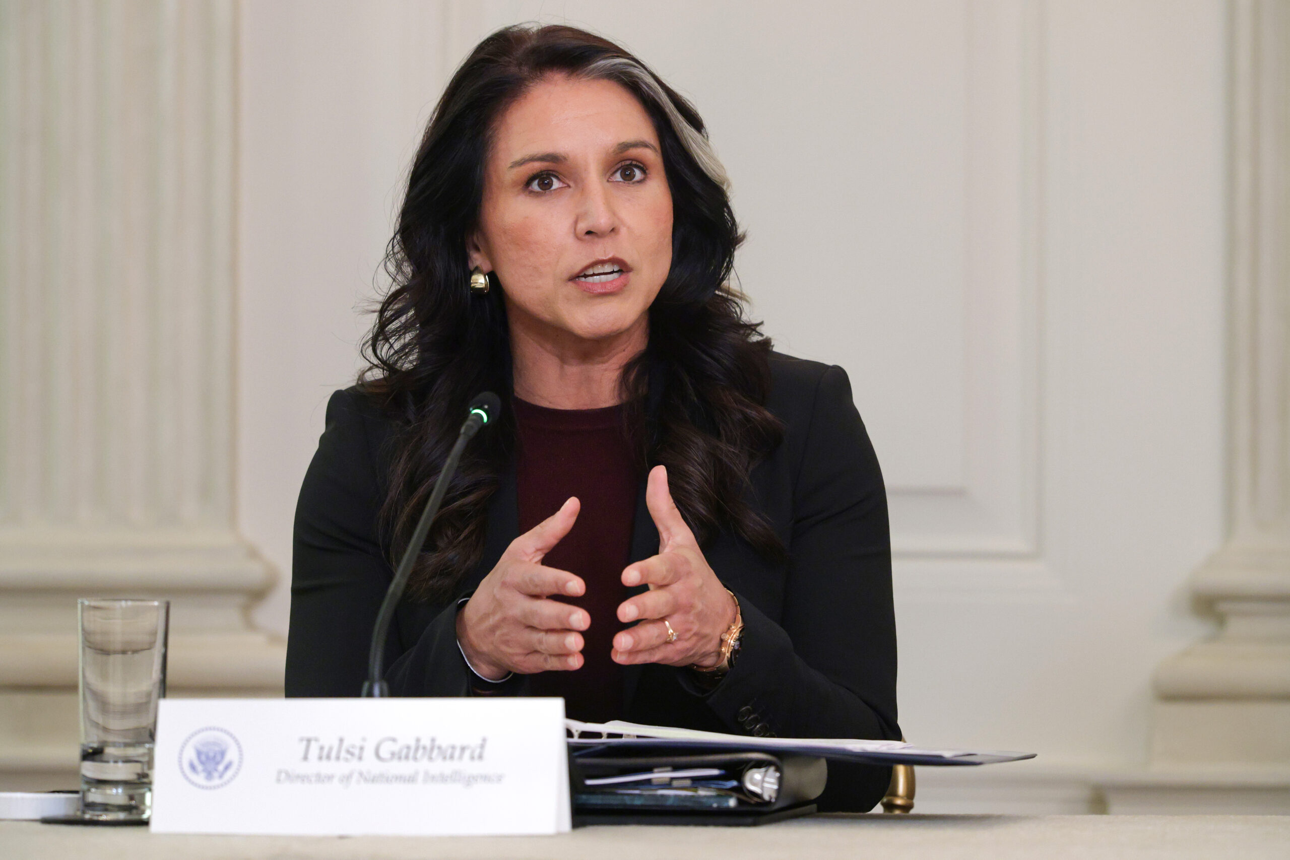 DNI Tulsi Gabbard takes leading role on 2020 election fraud investigation