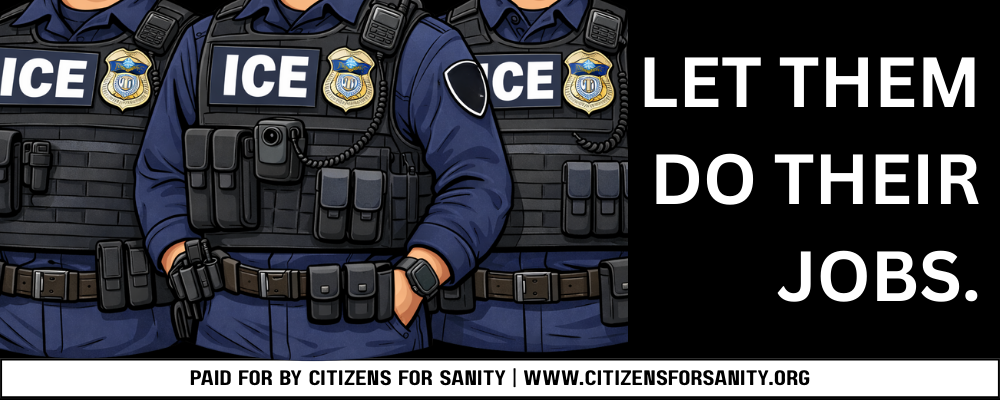 Pro-ICE billboards calling out ‘liberal hypocrisy’ go up in swing states: ‘Let them do their jobs’