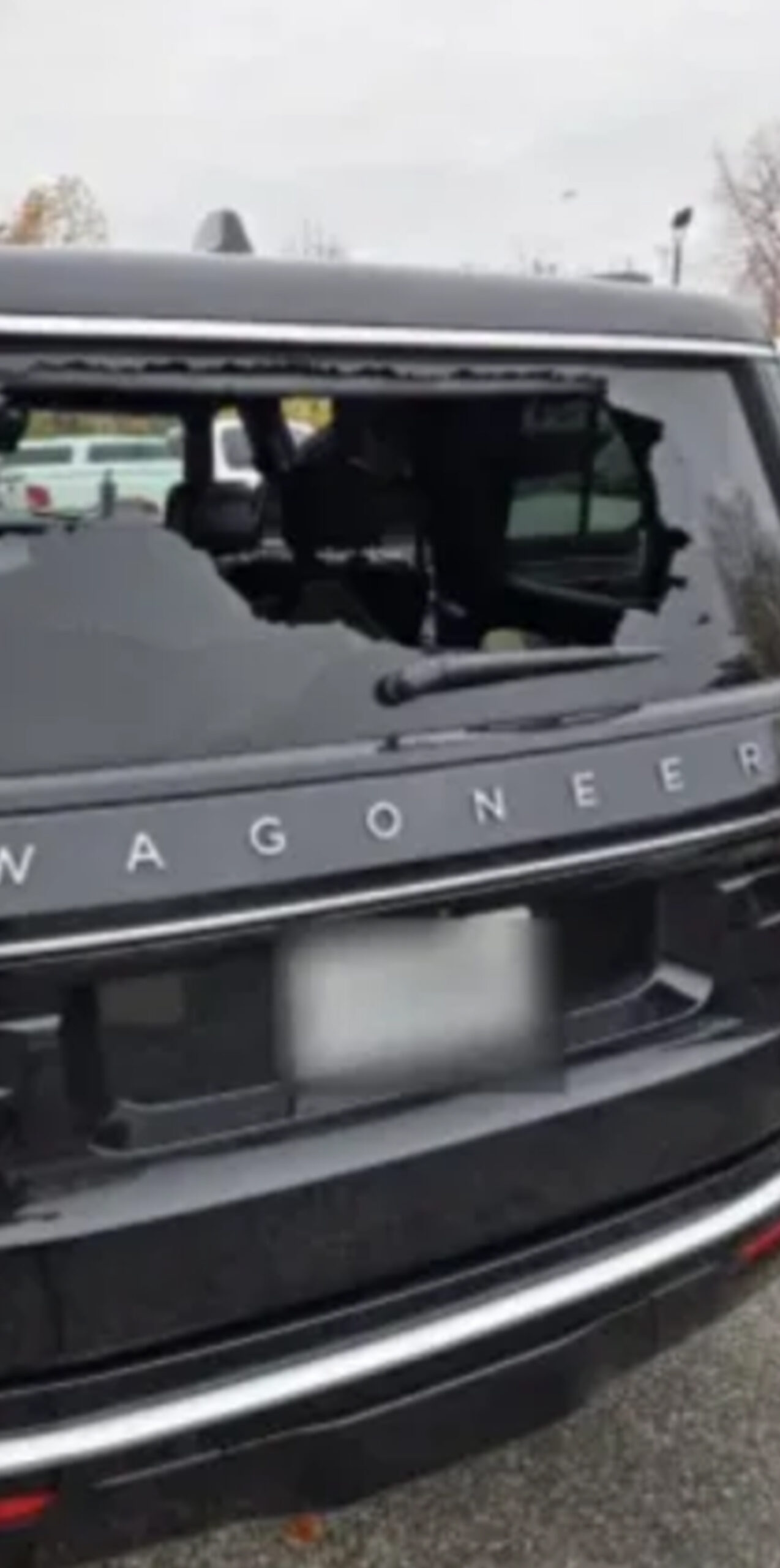 Crazed agitators attacking DHS vehicles at an alarming rate: ‘Incited violence’