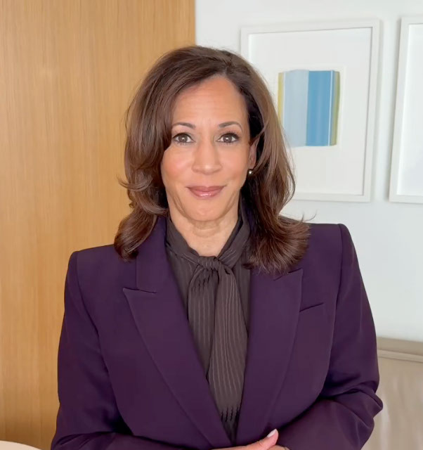 Kamala Harris skewered for ‘cringe’ attempt to use Gen. Alpha brainrot slang on rebranded campaign