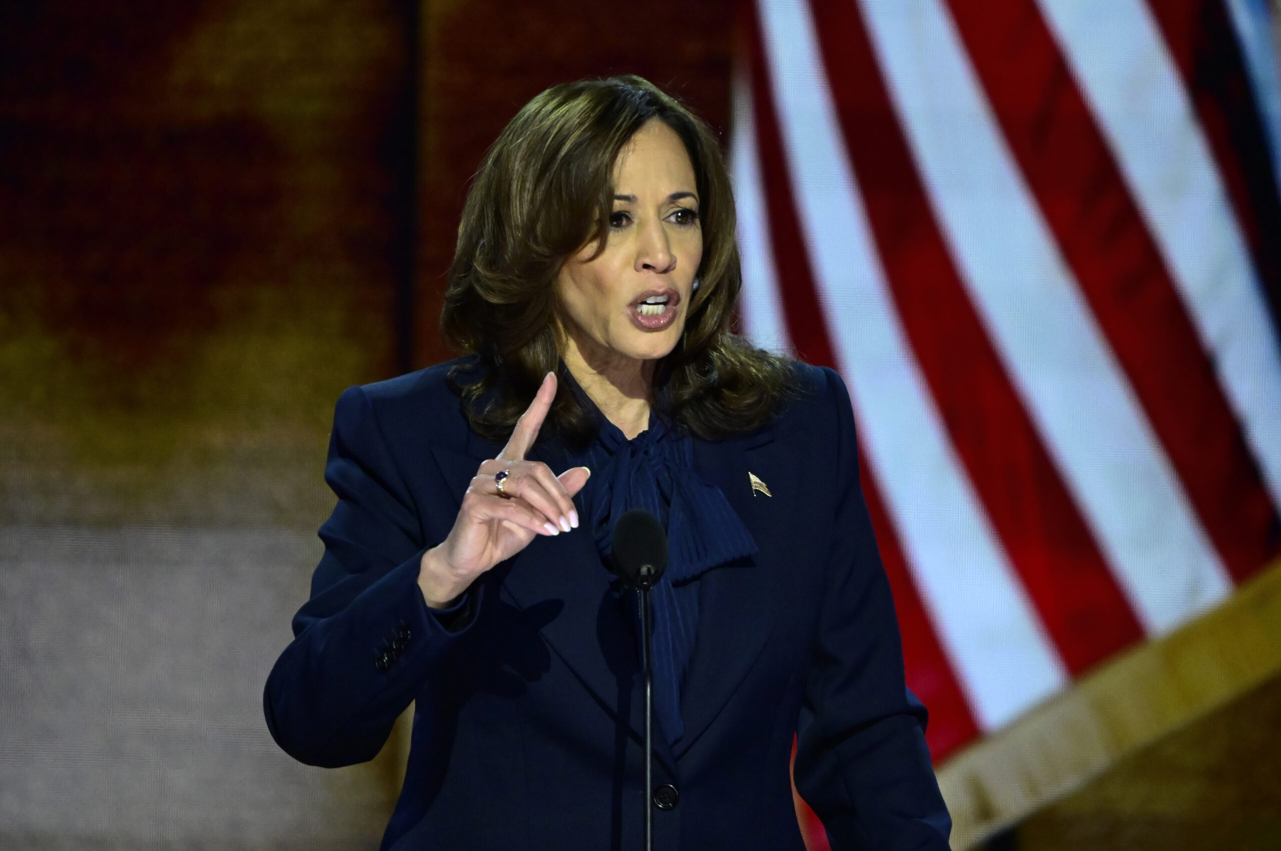 DNC ‘autopsy’ of 2024 defeat says Biden loyalists neglected Harris, claims GOP ‘learned more from Obama’ than Dems