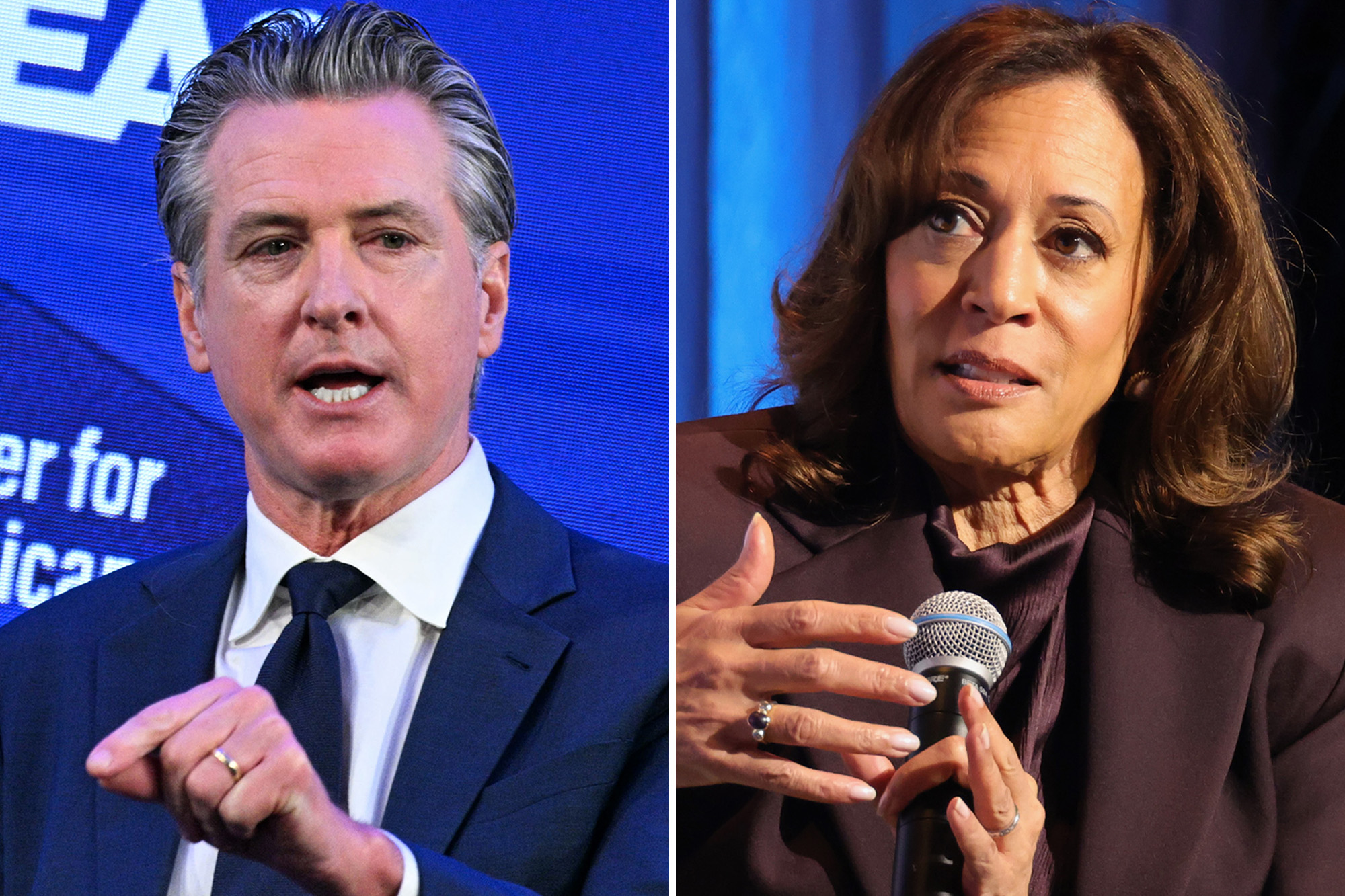 New presidential poll shows Gavin Newsom, Kamala Harris in dead heat as report on 2024 run exposes party failures