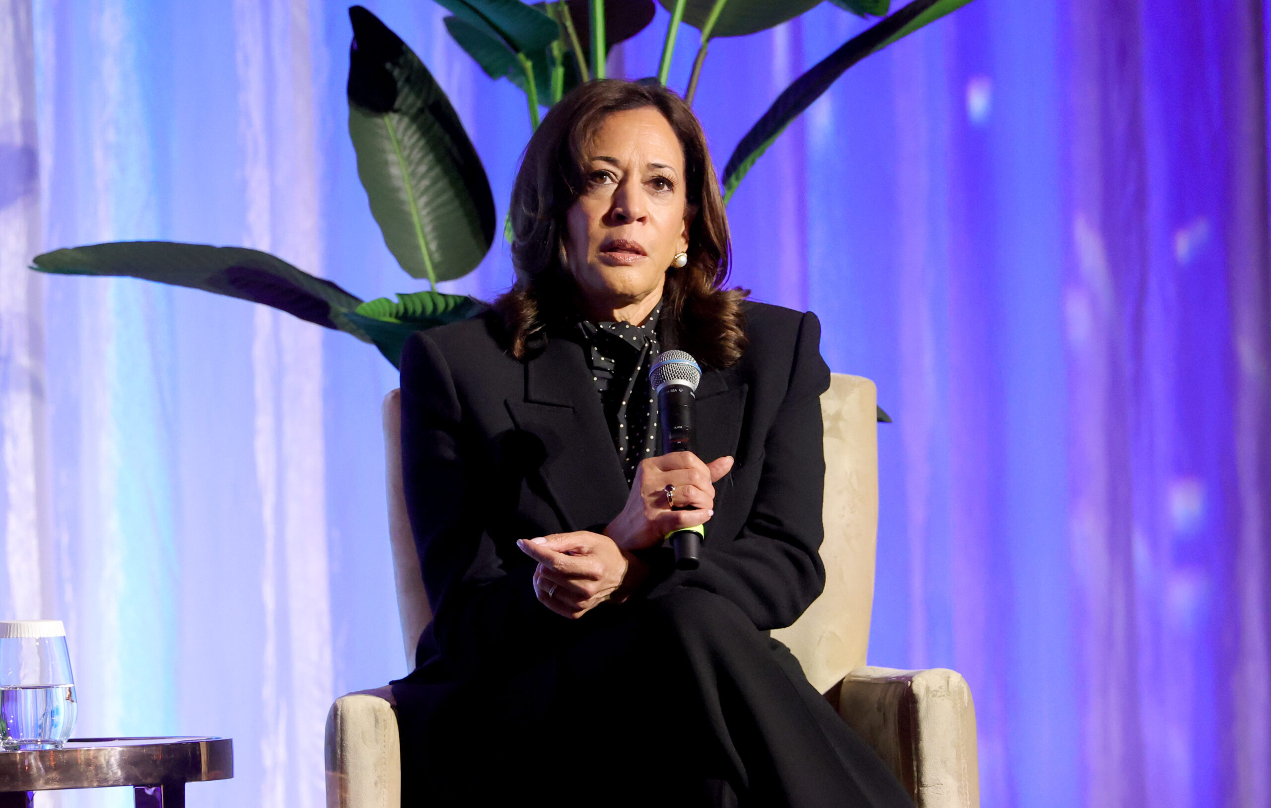 Kamala’s cash crisis: Big donors turn their backs on Harris as 2028 bid already hangs by a thread